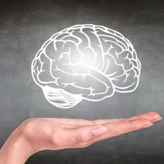QE Brain Boost Review