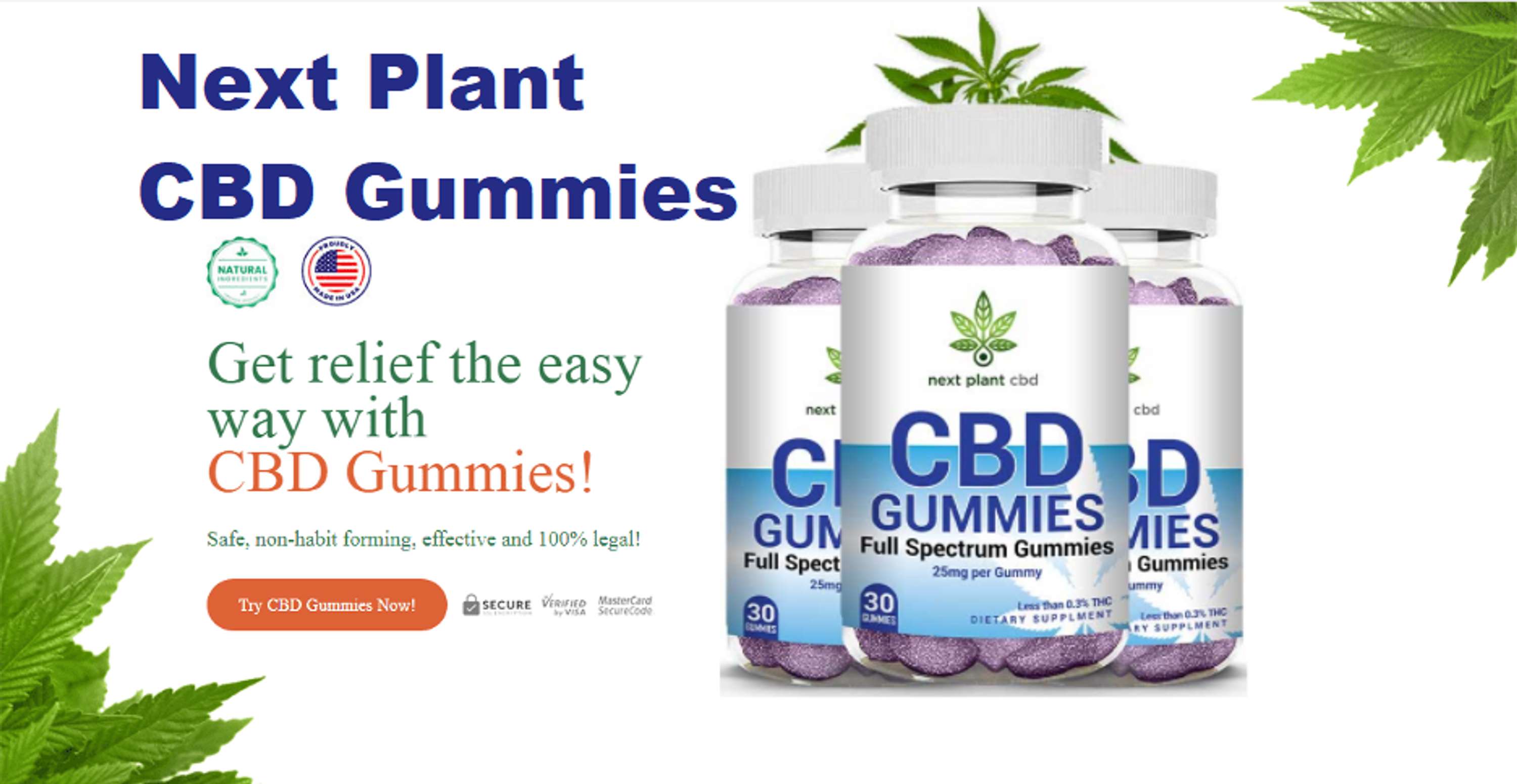 Next Plant CBD Gummies - Is It Really Providing The Benefits It Claim? by ulycbdshark Smith