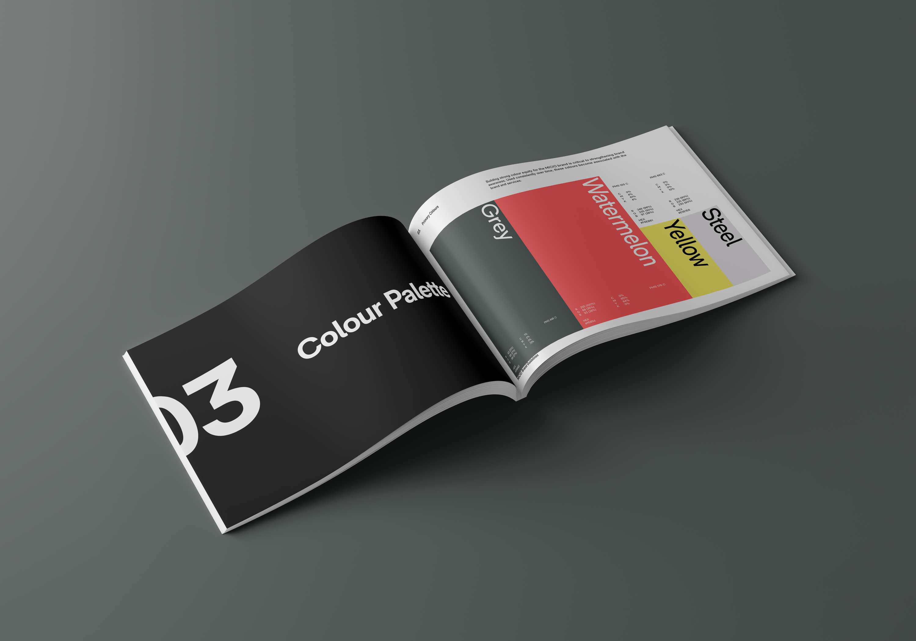 Micio Brand Styleguide by MUSUBI BRAND AGENCY