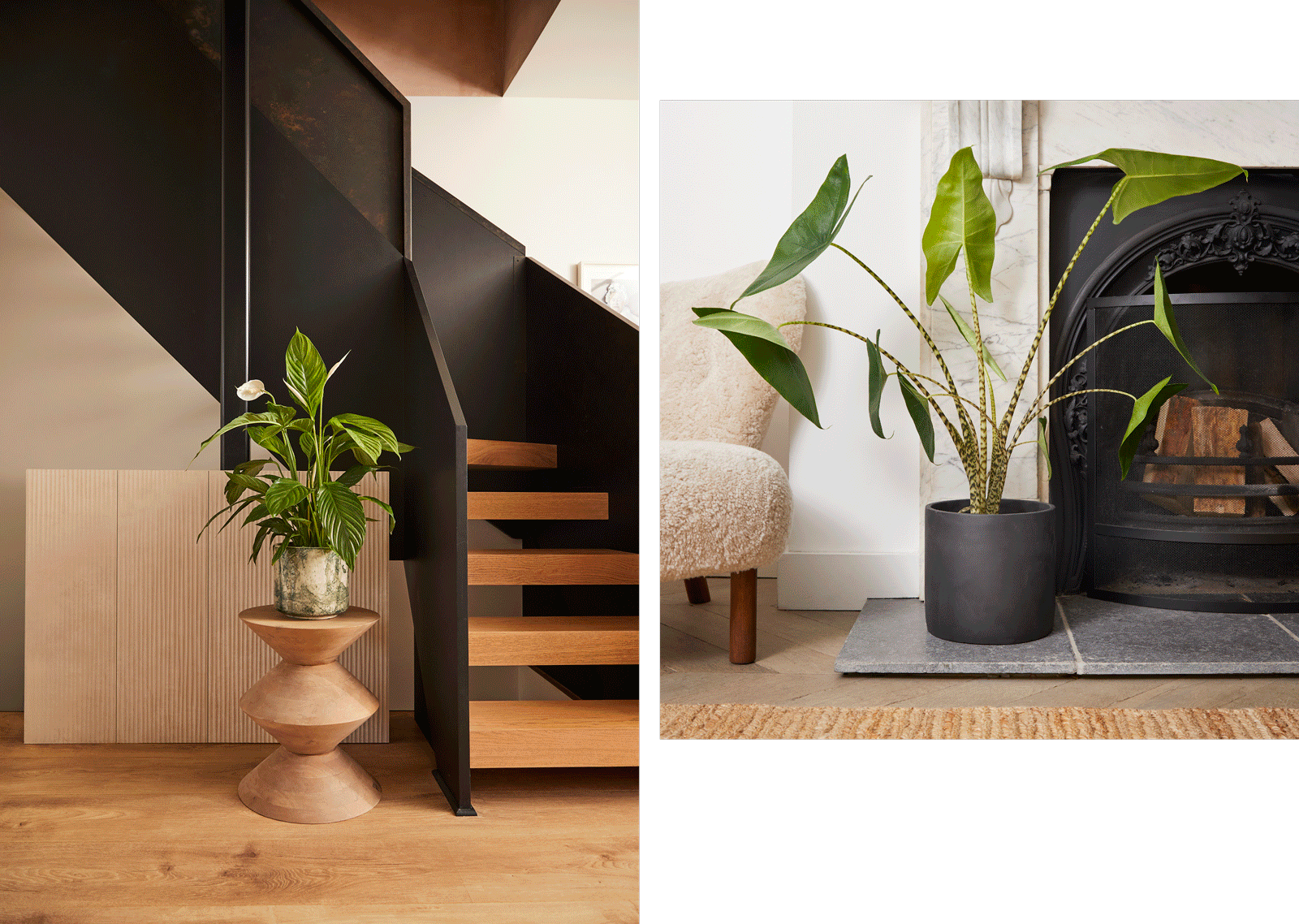 Patch – art direction by Sophie Jurkiewicz