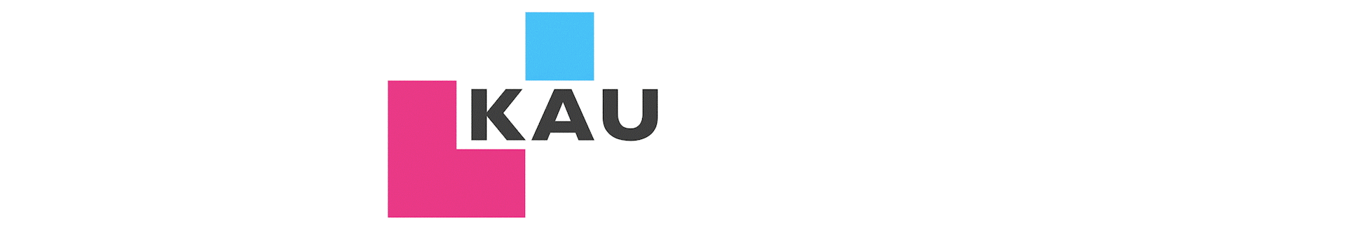 3D Identity & Website for the Kyiv American University by Sve & Ka Crea2ors