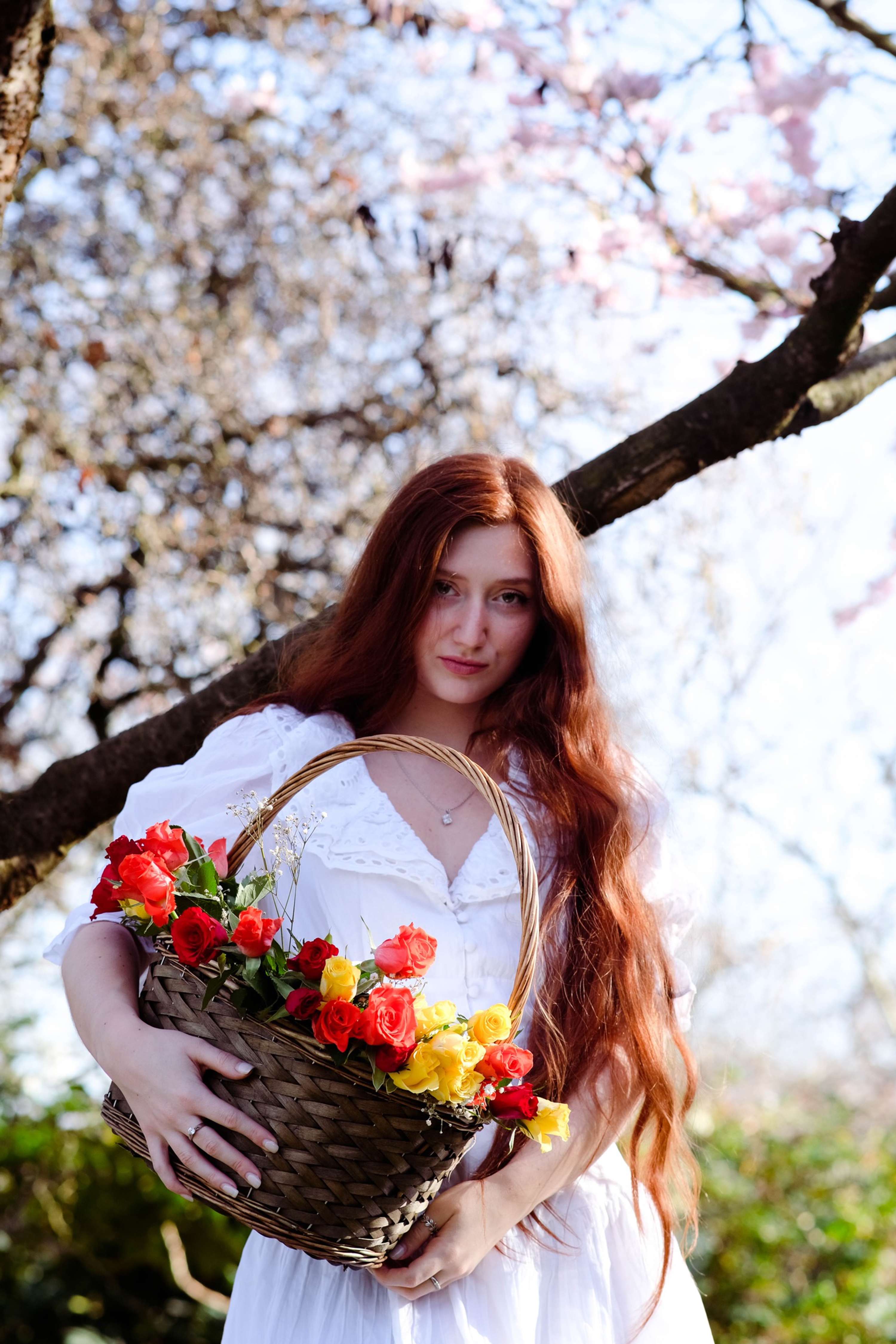 Hazy Spring by Verity Hayday