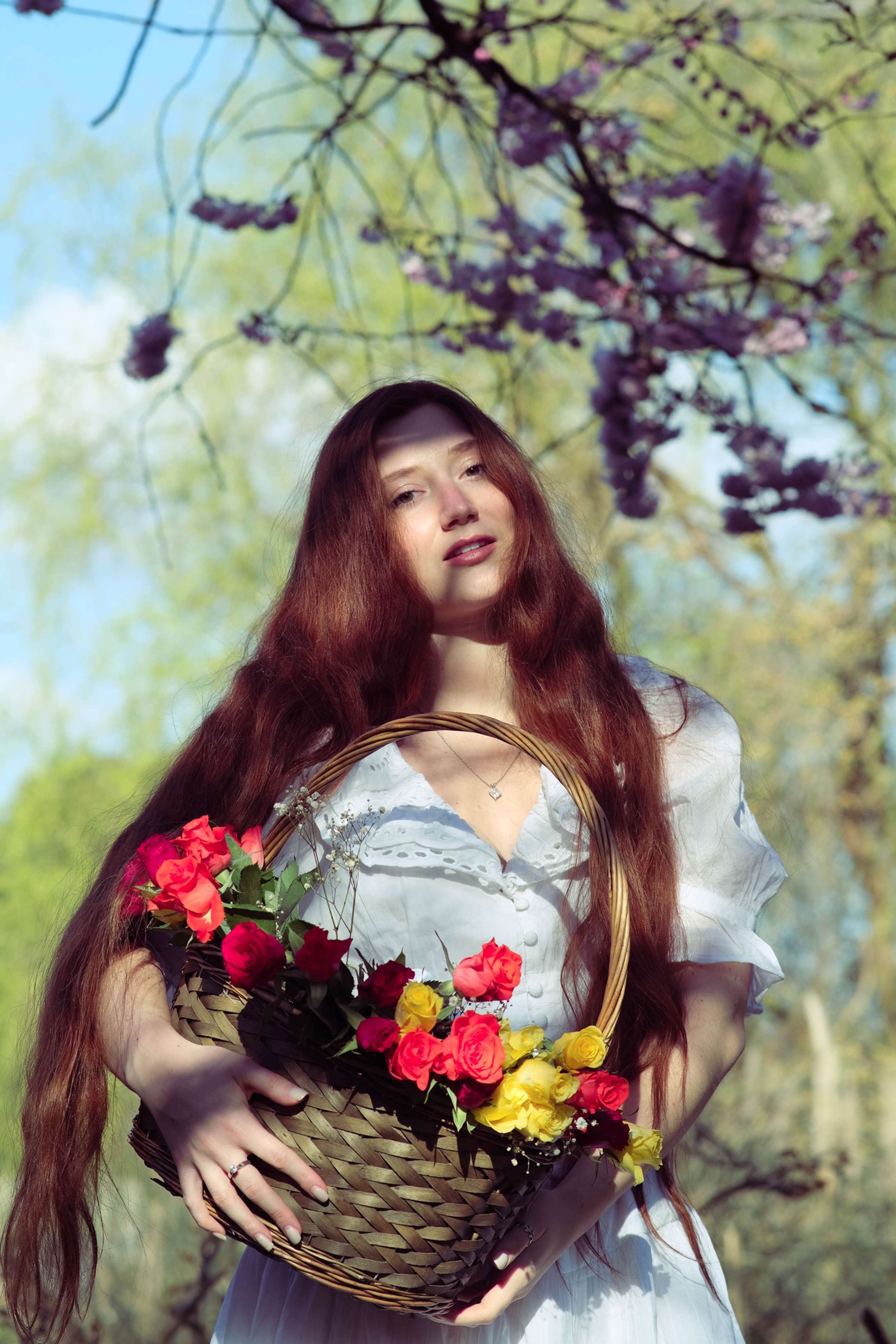 Hazy Spring by Verity Hayday
