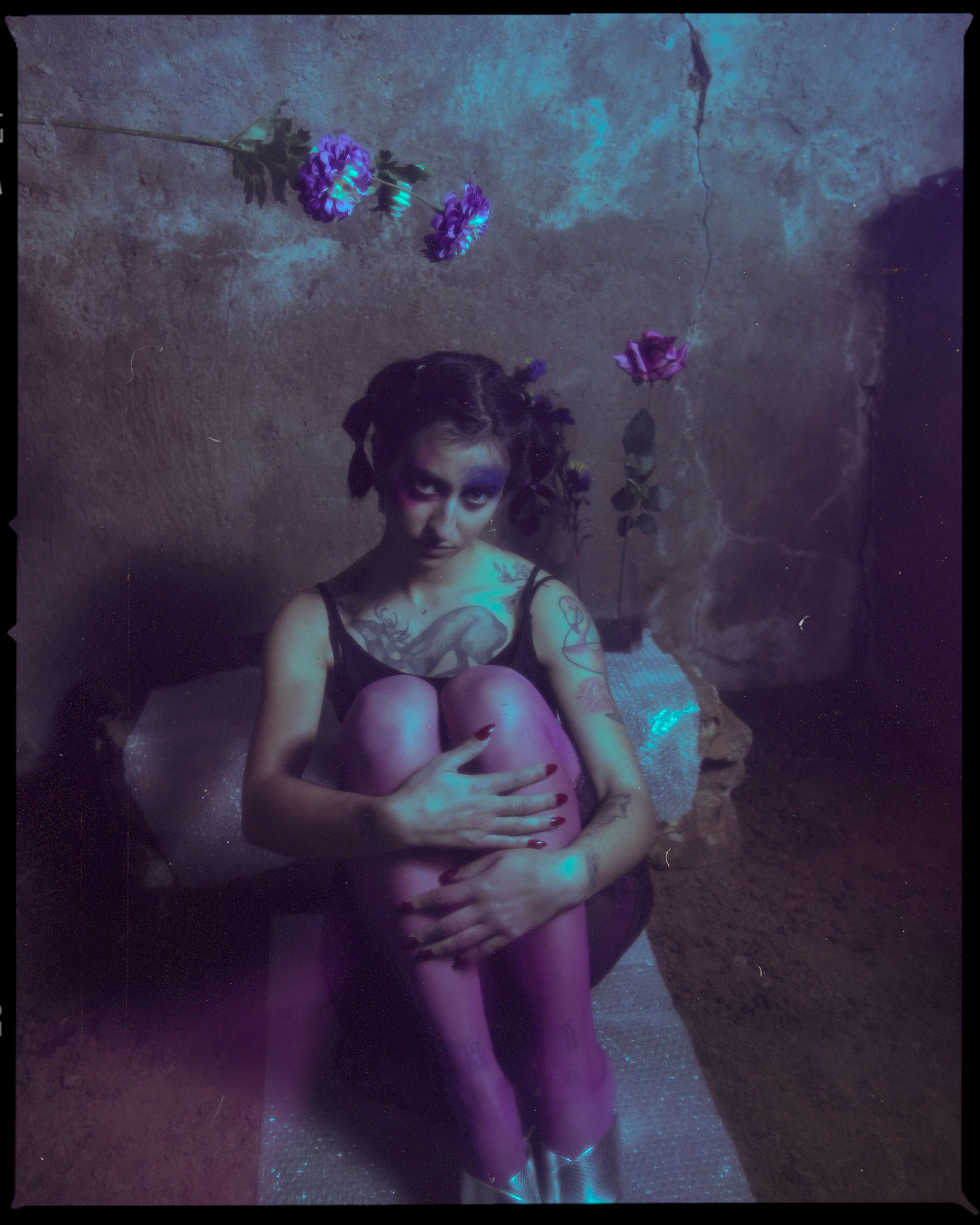 FANZINE-fragile yet fierce by Flora Brazuelo Millán
