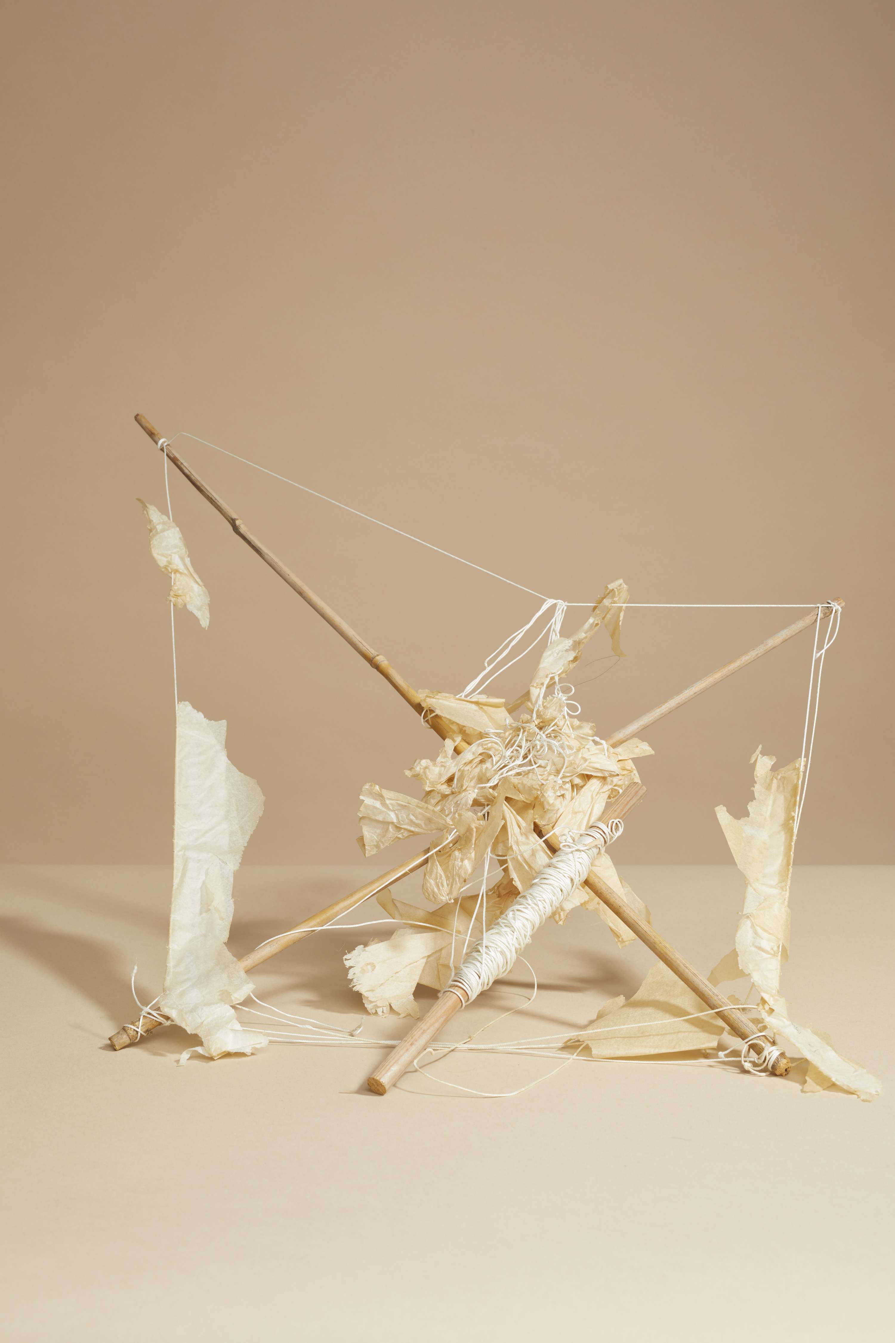 TO THE ONES I'VE DATED by Cecilia Di Paolo