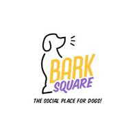 Bark Square logo
