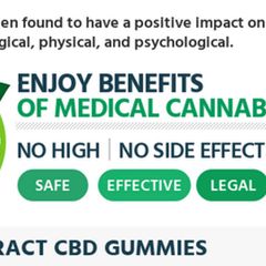 Terra Extract CBD Gummies