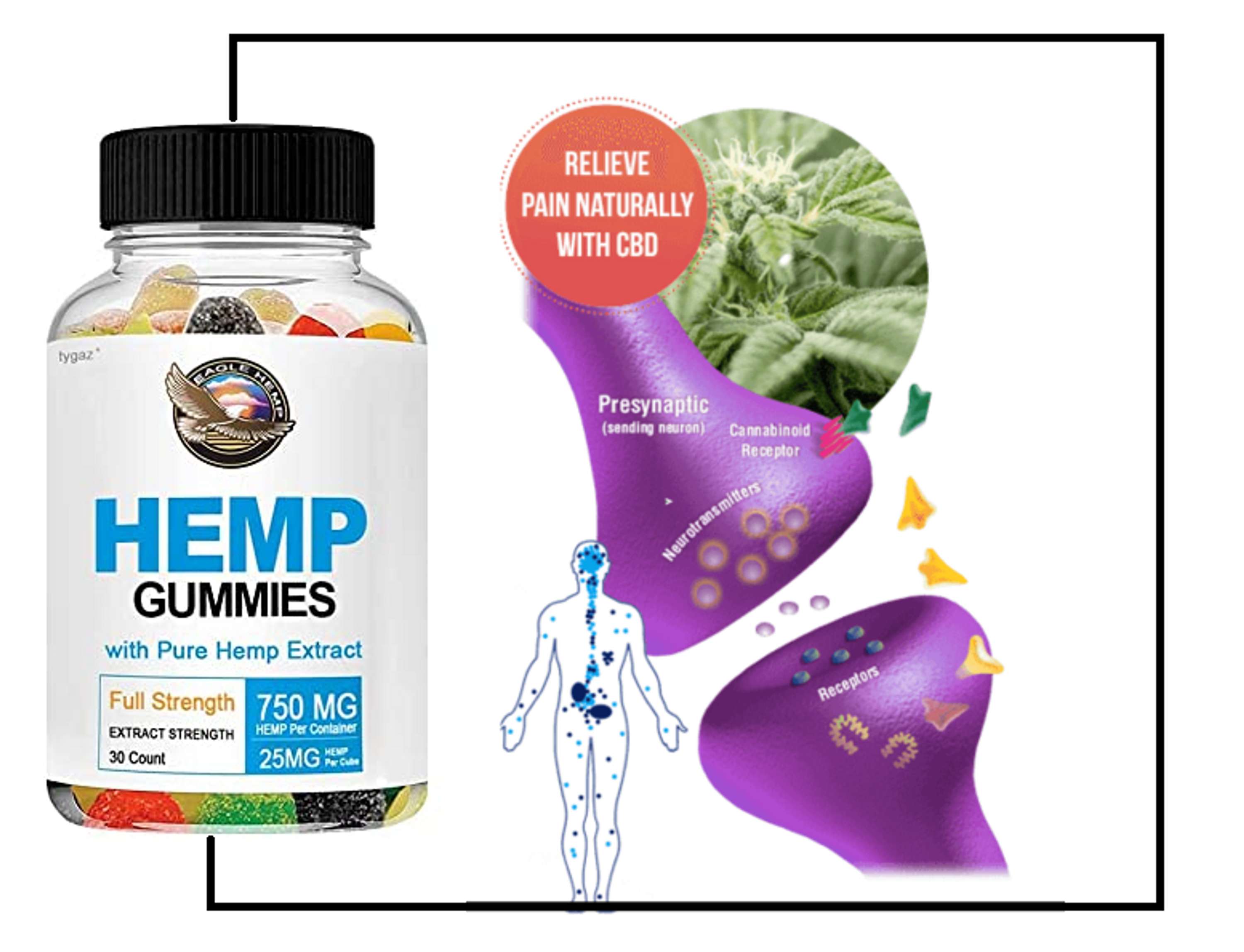 Eagle Hemp CBD Gummies Review 100% Effective Product? by eaglesharkhemp Smith