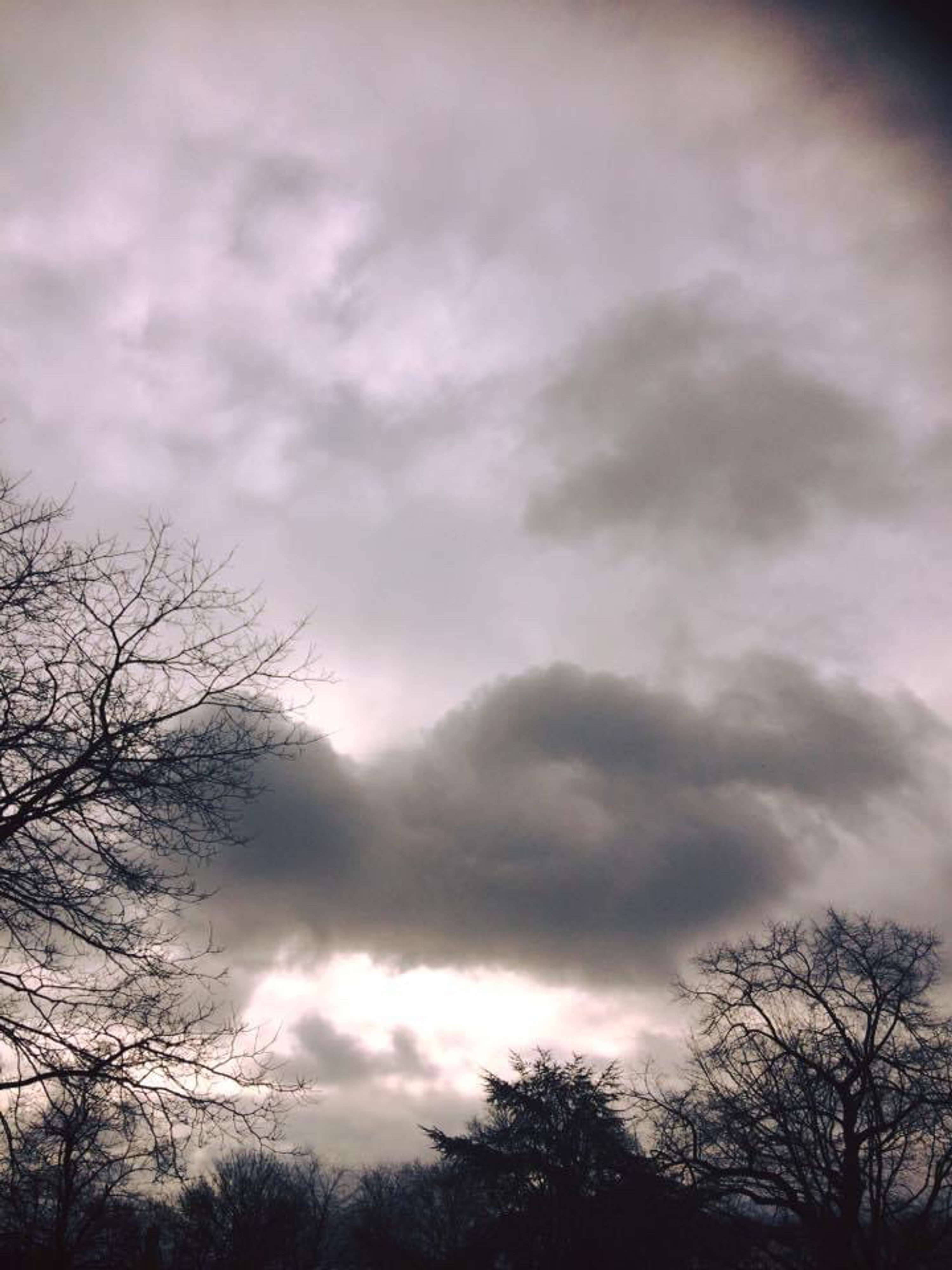 It's all in a cloud by Marcia Brissett-Bailey