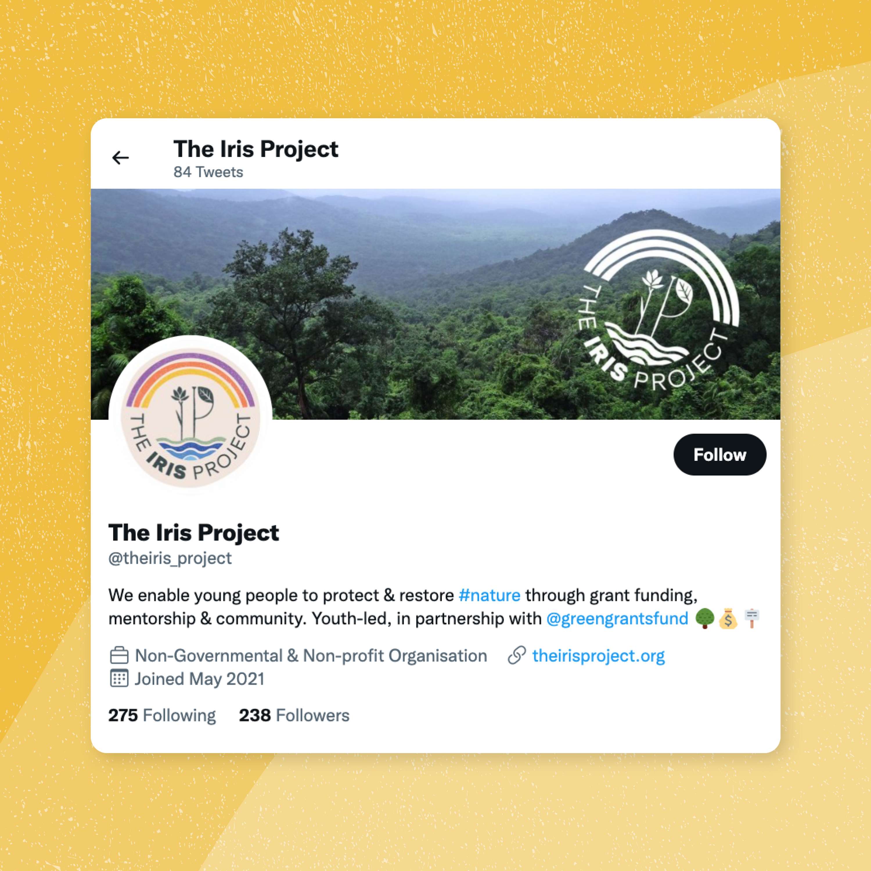 The Iris Project by Katie O'Rourke