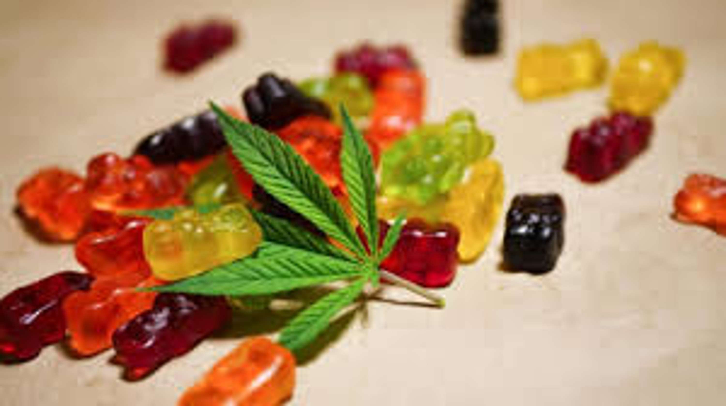 Laura Ingraham CBD Gummies [Myths or Facts] Beware Before Buying! by Jullieee Foard