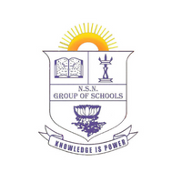 NSN Schools logo