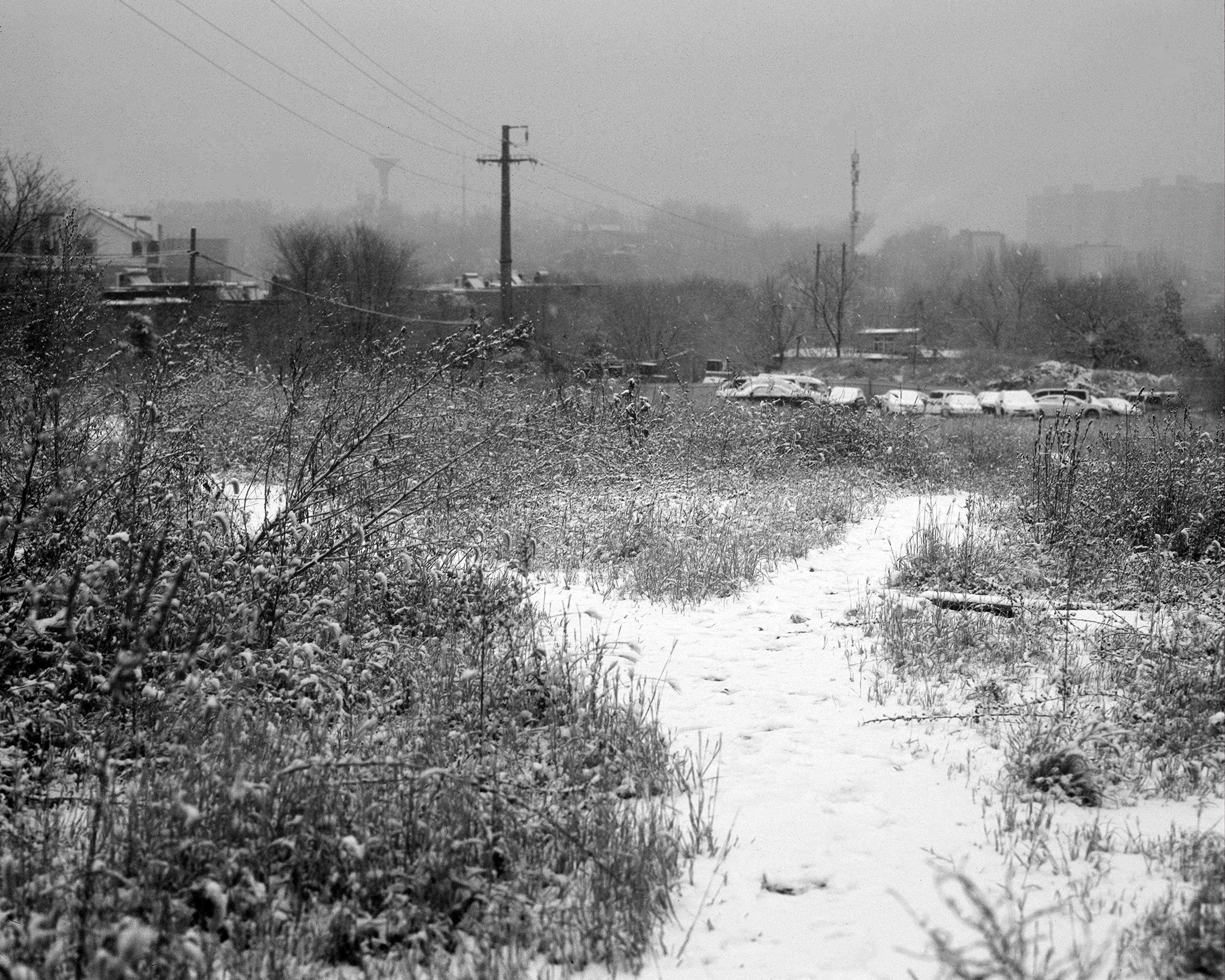 Siqi Li ruminates on themes of loss and separation by Siqi Li