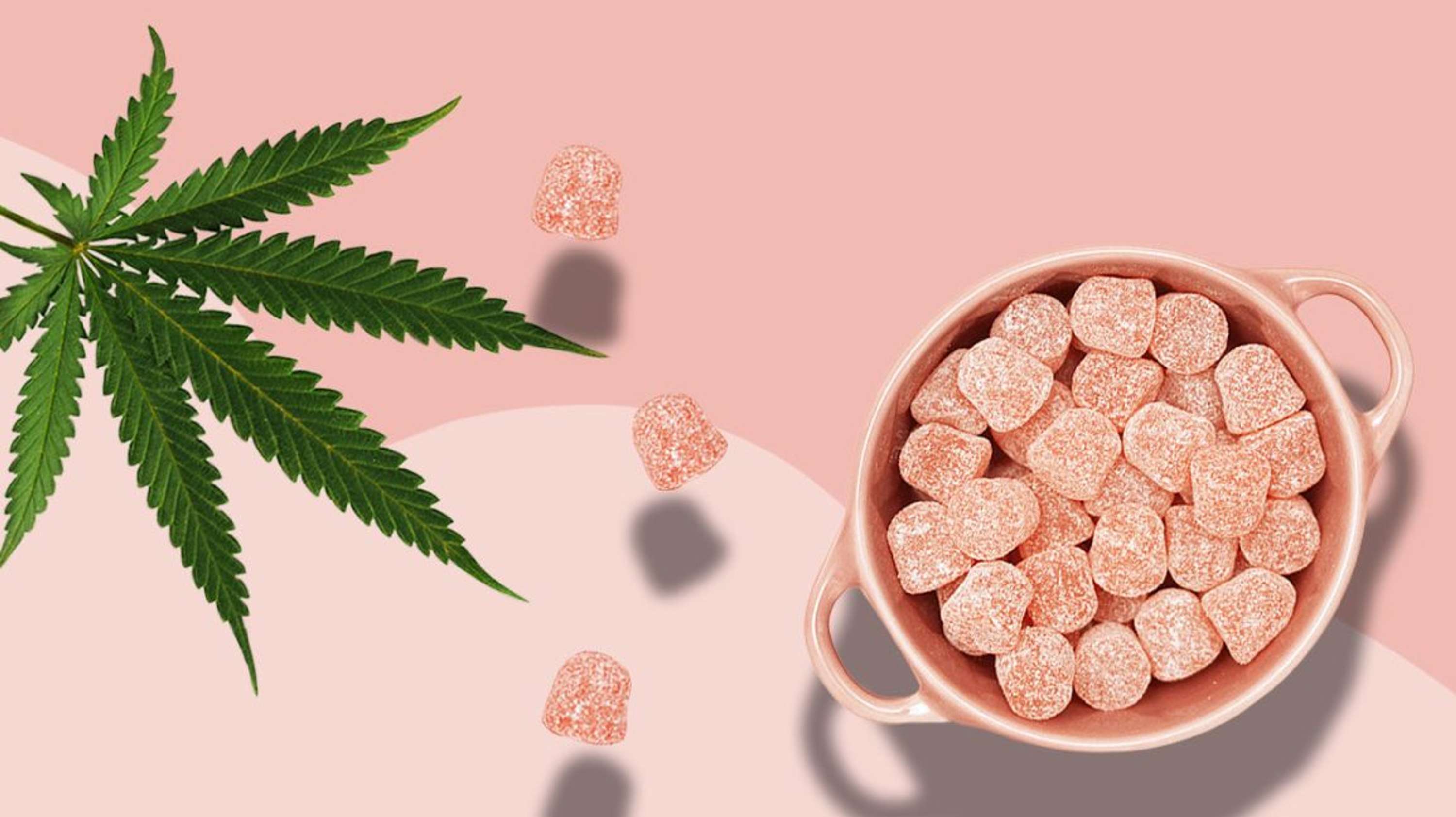 Laura Ingraham CBD Gummies by Neha Rajput