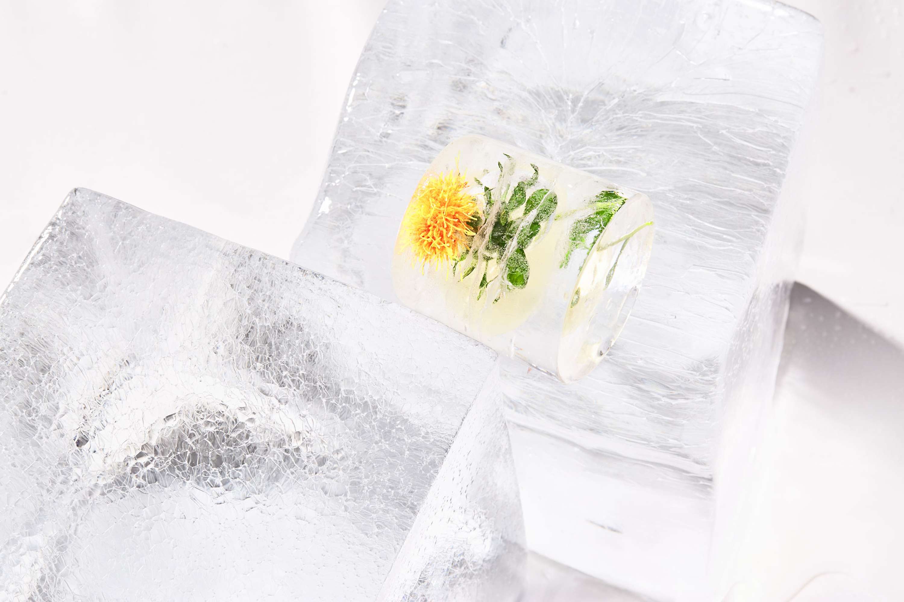 Visual Identity and Web Design for ICED Media by Sofia Pusa