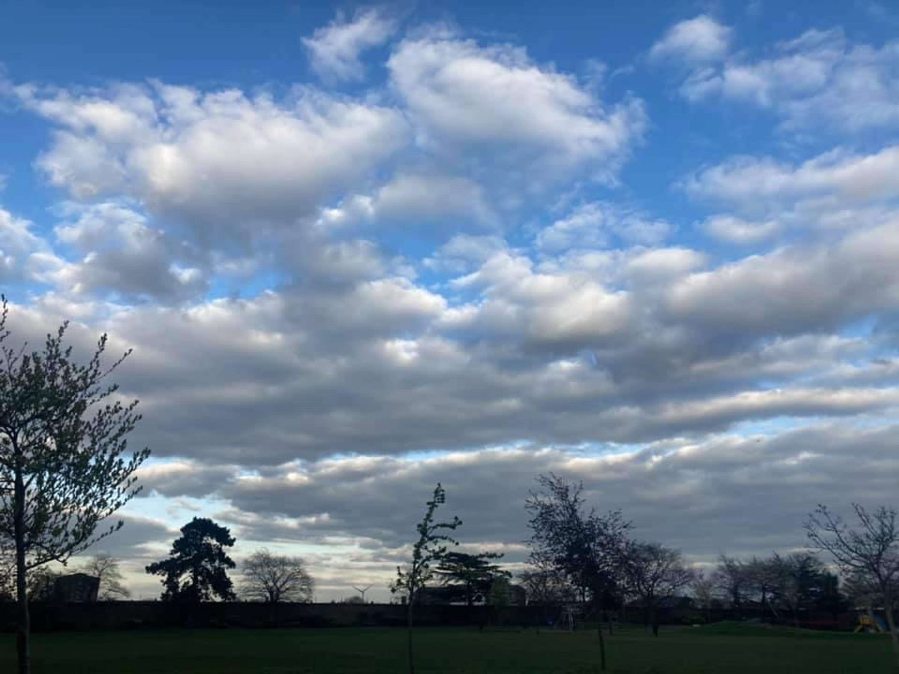 Cloud seeking by Marcia Brissett-Bailey
