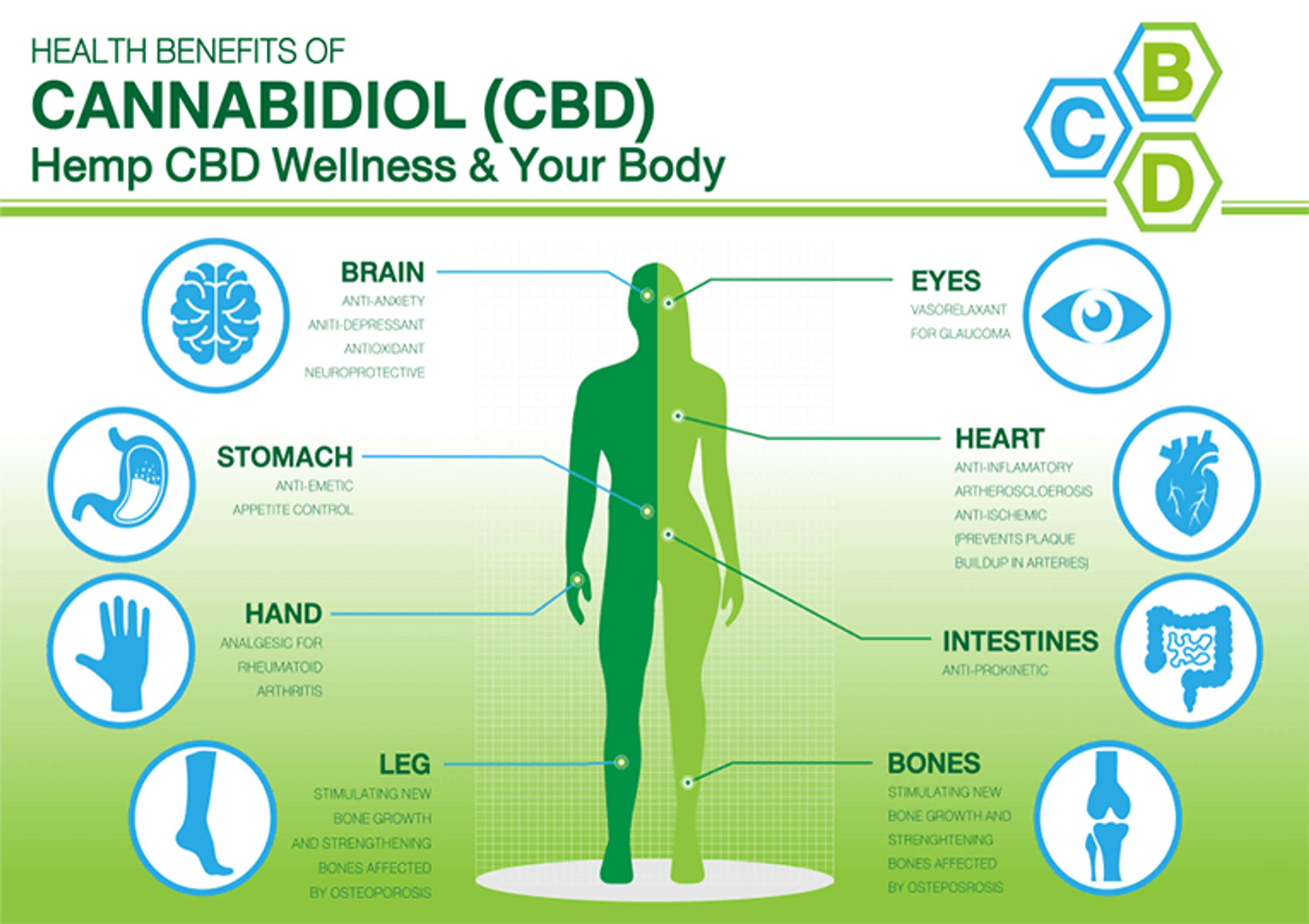 Anthony Sullivan's MontKush CBD: Reviews 2022″ Side Effects, Best Results, Works & Buy! by Anthony Sullivan's MontKush CBD