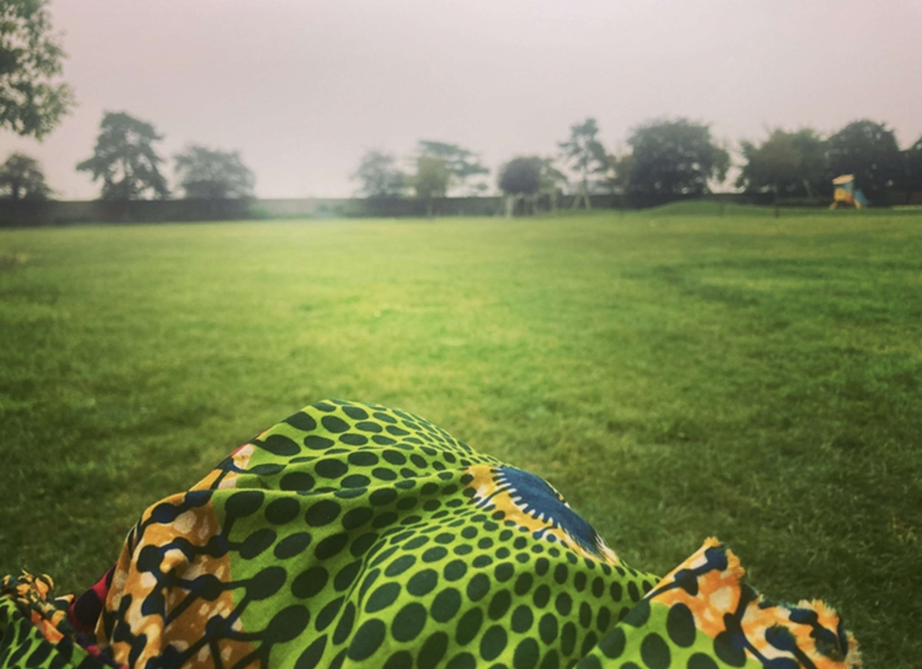 Park and a wrap by Marcia Brissett-Bailey
