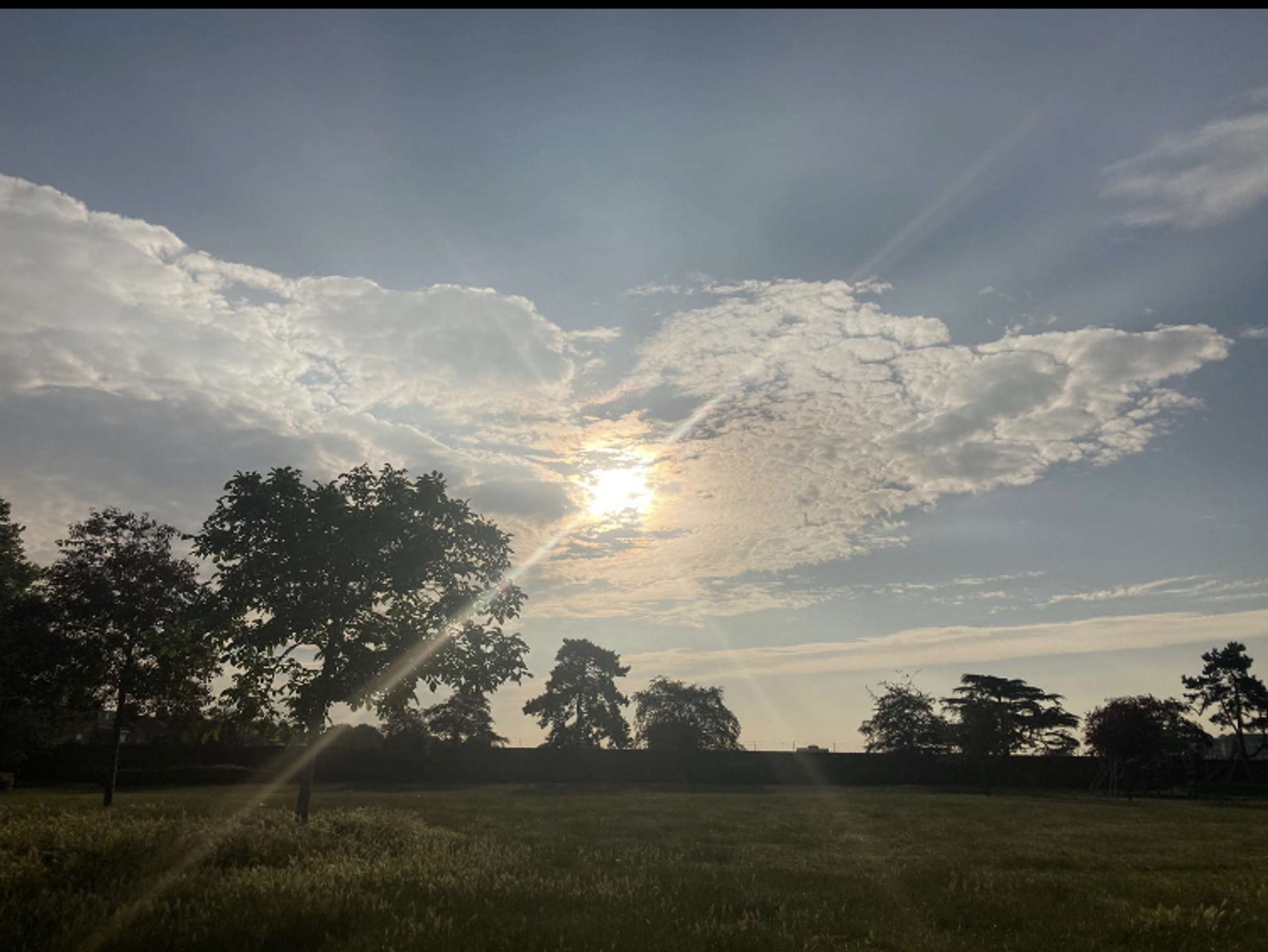 Sun beam by Marcia Brissett-Bailey