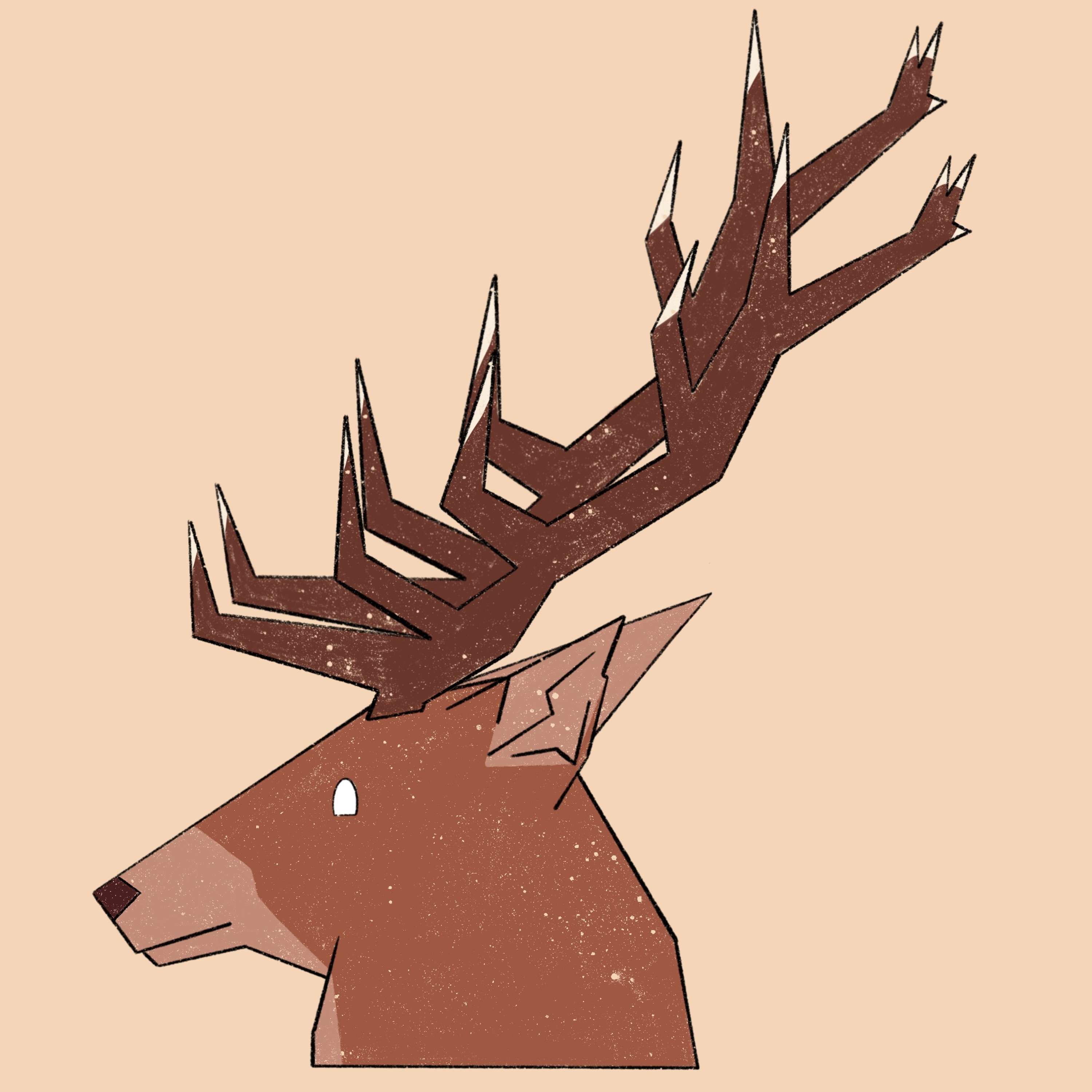 Wild Animals by Zainab Sanyang