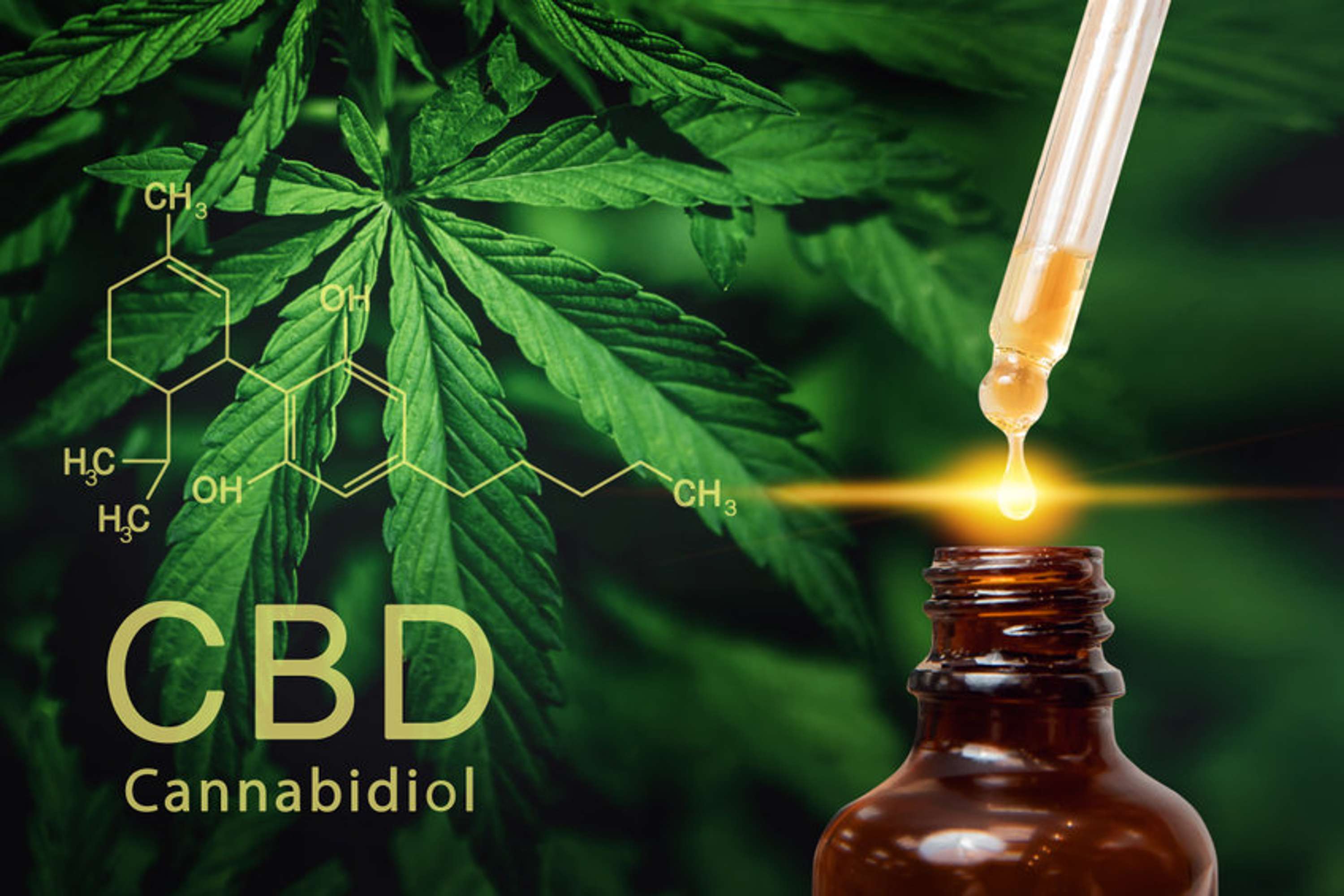 Phytocet CBD Oil 2022 - Does it Really Work? by Phytocet CBD Oil