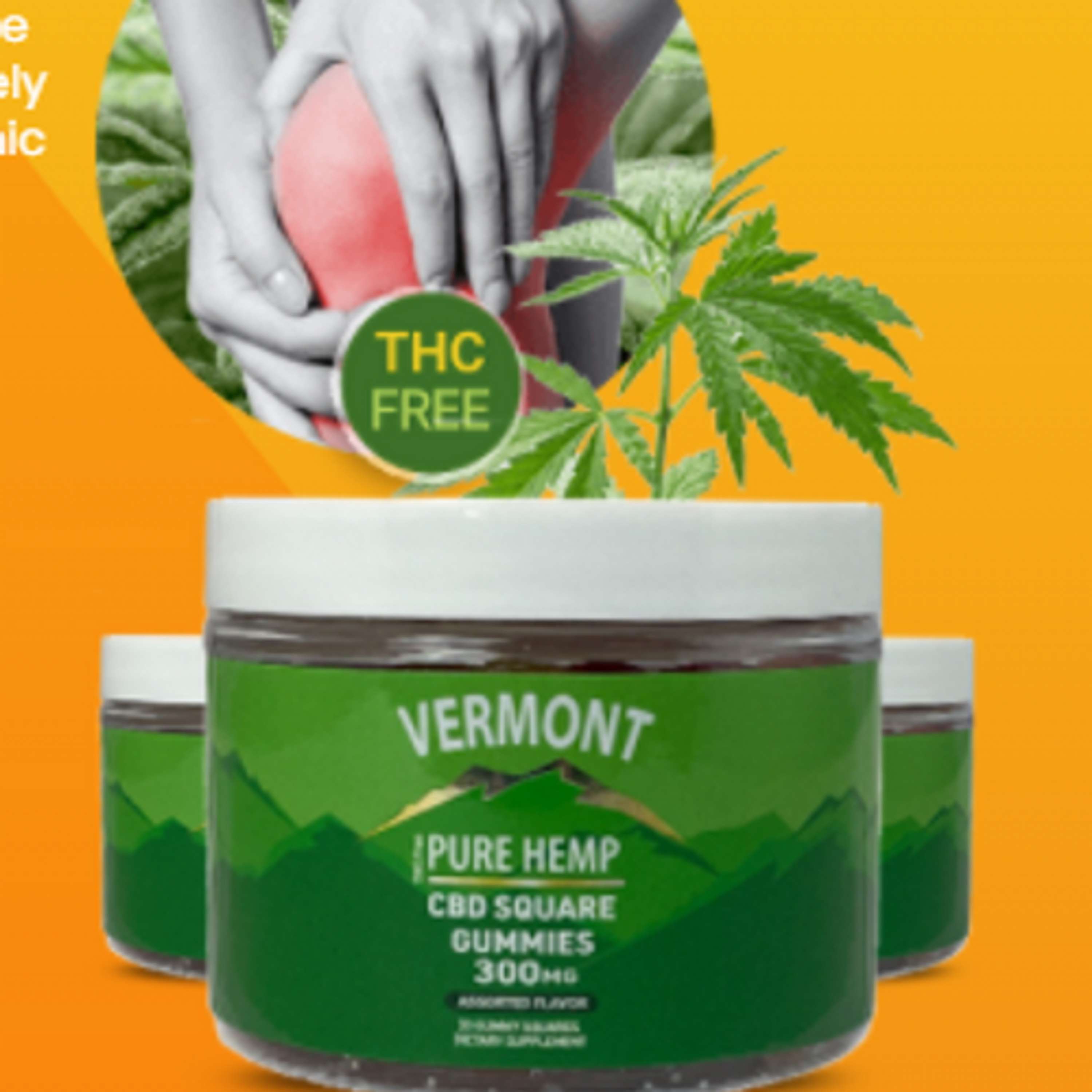 Vermont Pure CBD Gummies Reviews: (Scam or Legit) Is Vermont Pure CBD Supporting Pain Relief? by Lilian spooner