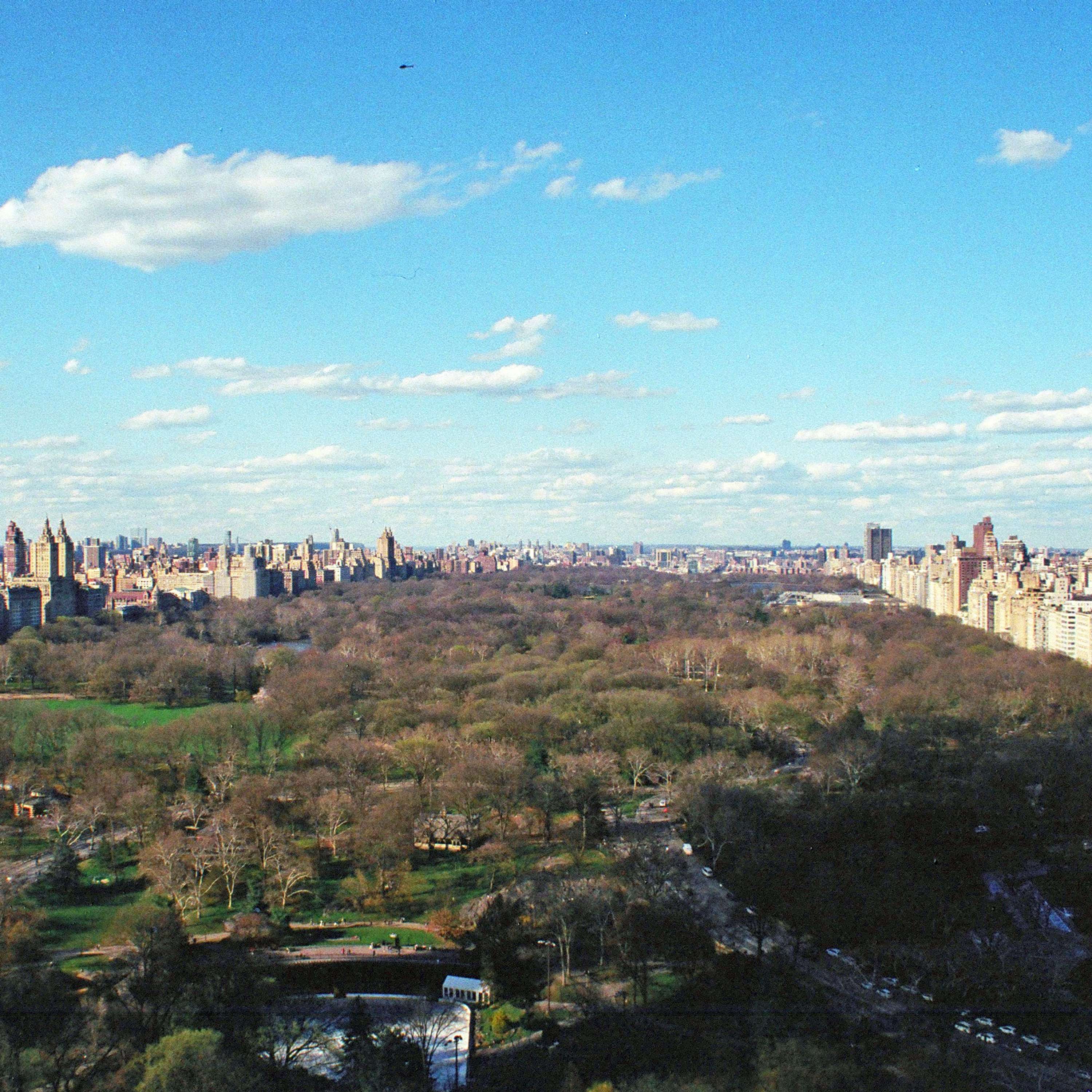 Springtime in New York by Tom Lancaster