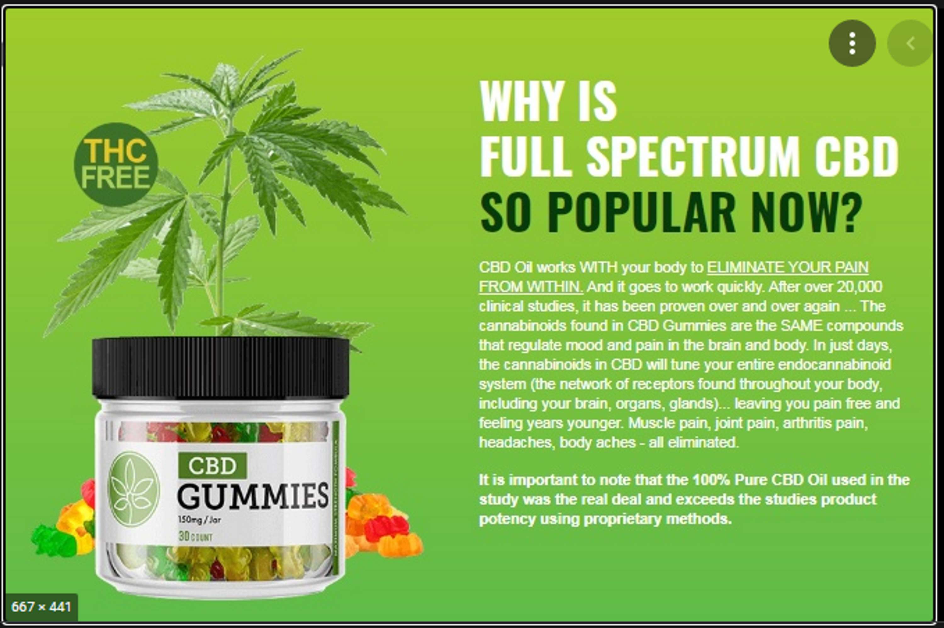 TIGER WOODS CBD GUMMIES DOES IT WORK? Reviews 2022 by tiger woodsy