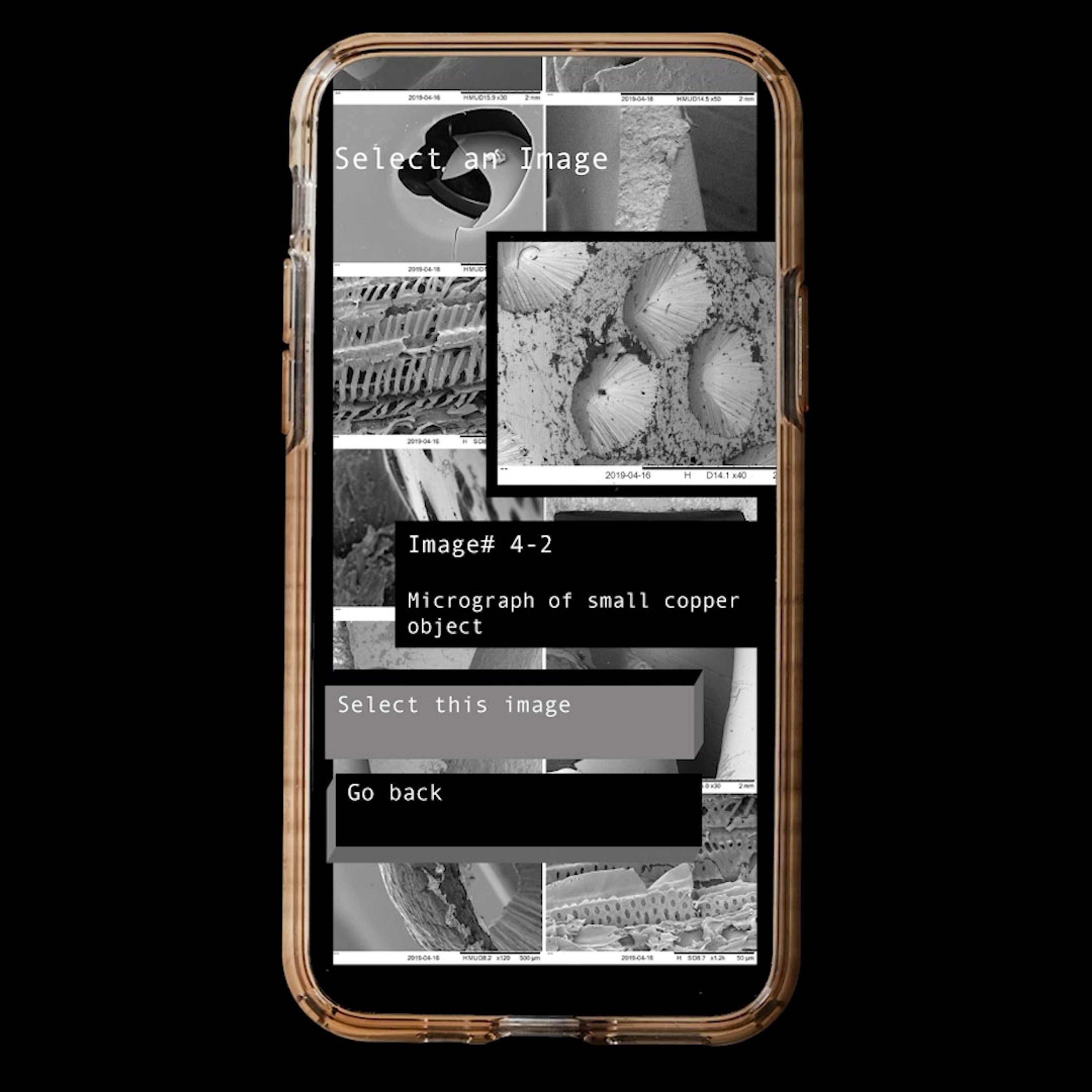 App for Microscopes and Manipulation by Lila Bernstein-Newman