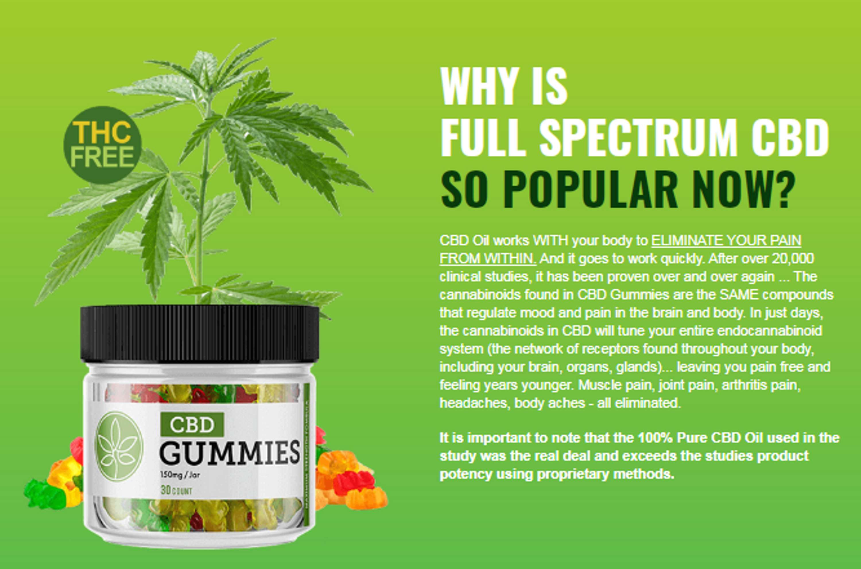 Tiger Woods CBD Gummies { #WHERE TO BUY} REVIEWS SCAM OR LEGIT? by Faith Davis