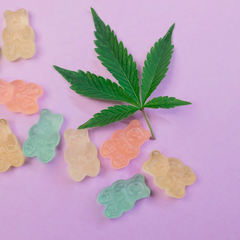 Dr Phil CBD Gummies
