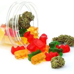 Fulton Essentials CBD Gummies
