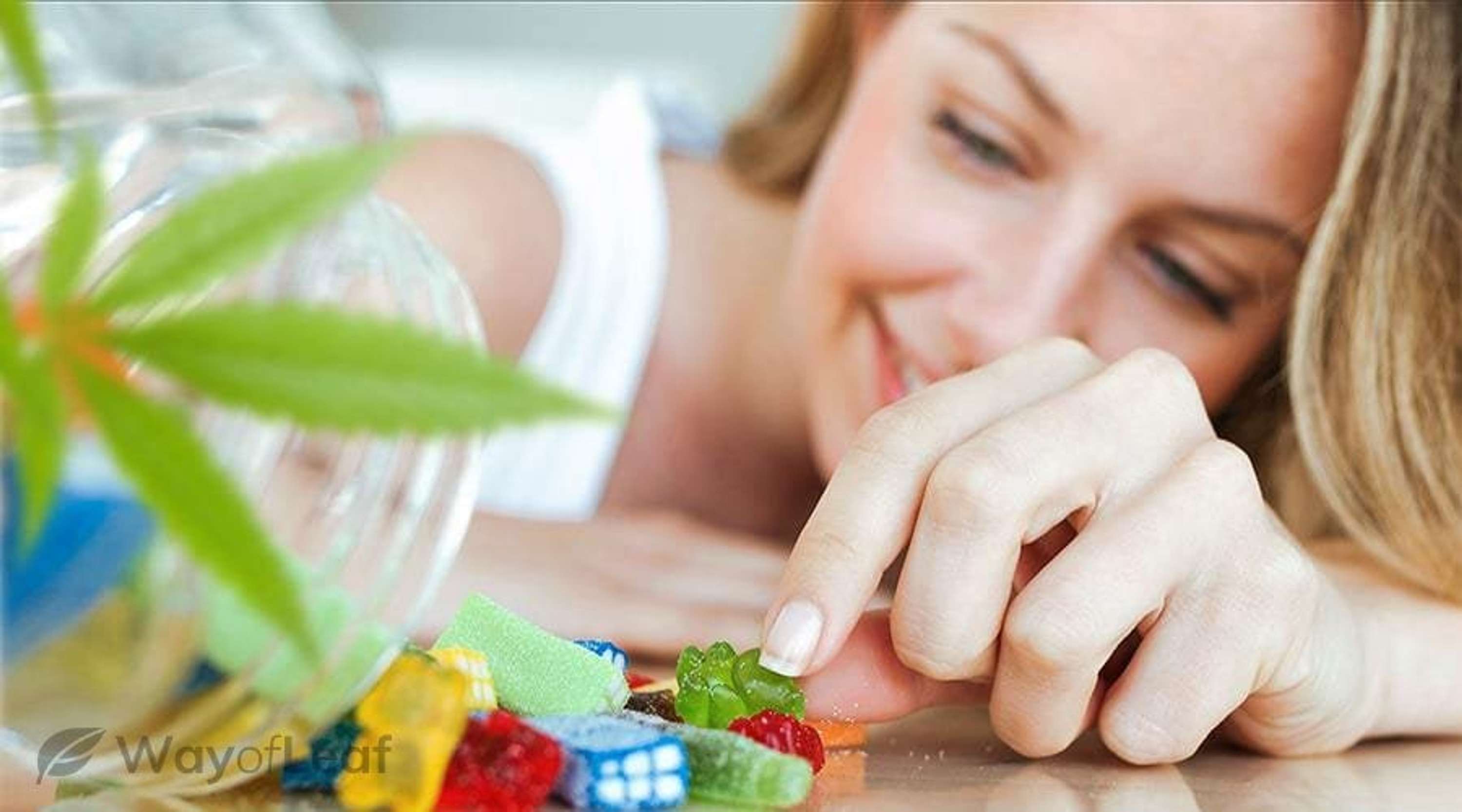 Alain Delon CBD Gummies Critiques: Un moyen sûr et efficace de soulager la douleur! by Health Hub
