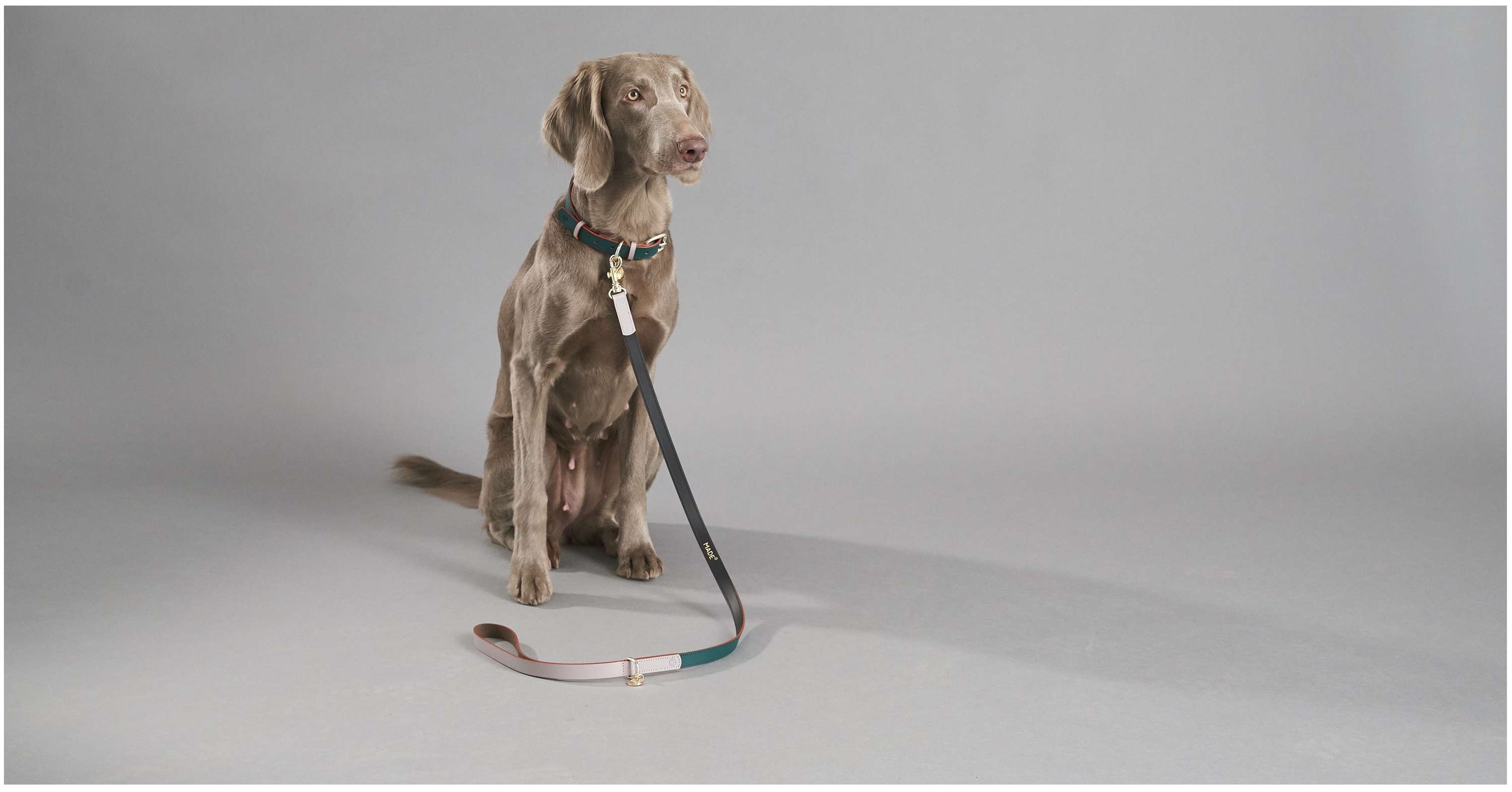 Pet Accessories Ecommerce Shoot : MADE.com by Camille Freemantle