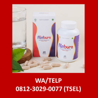 Flimburn Bintan | WA/Telp : 0812-3029-0077 (TSEL) logo