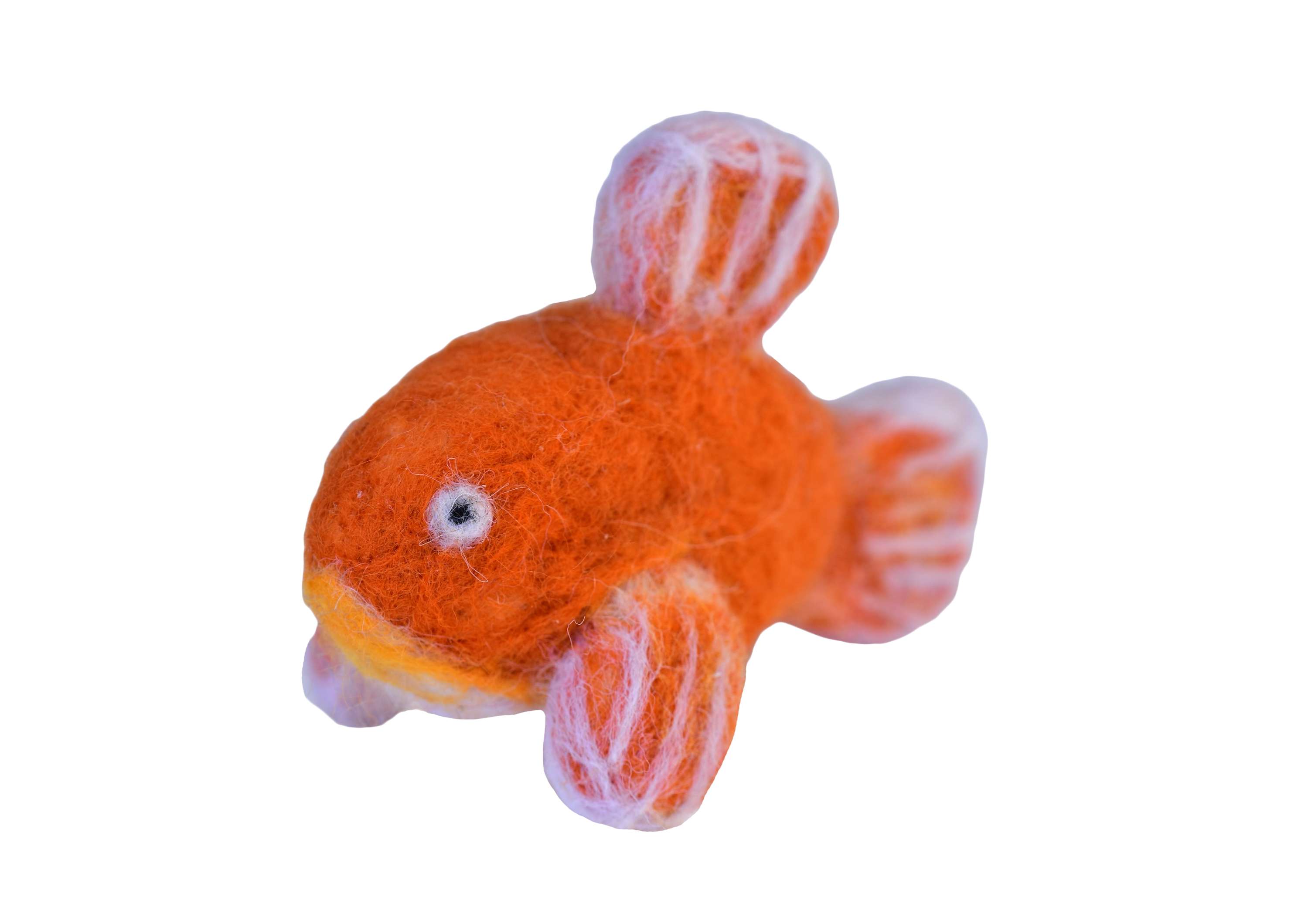 fish by Zoe McIntosh