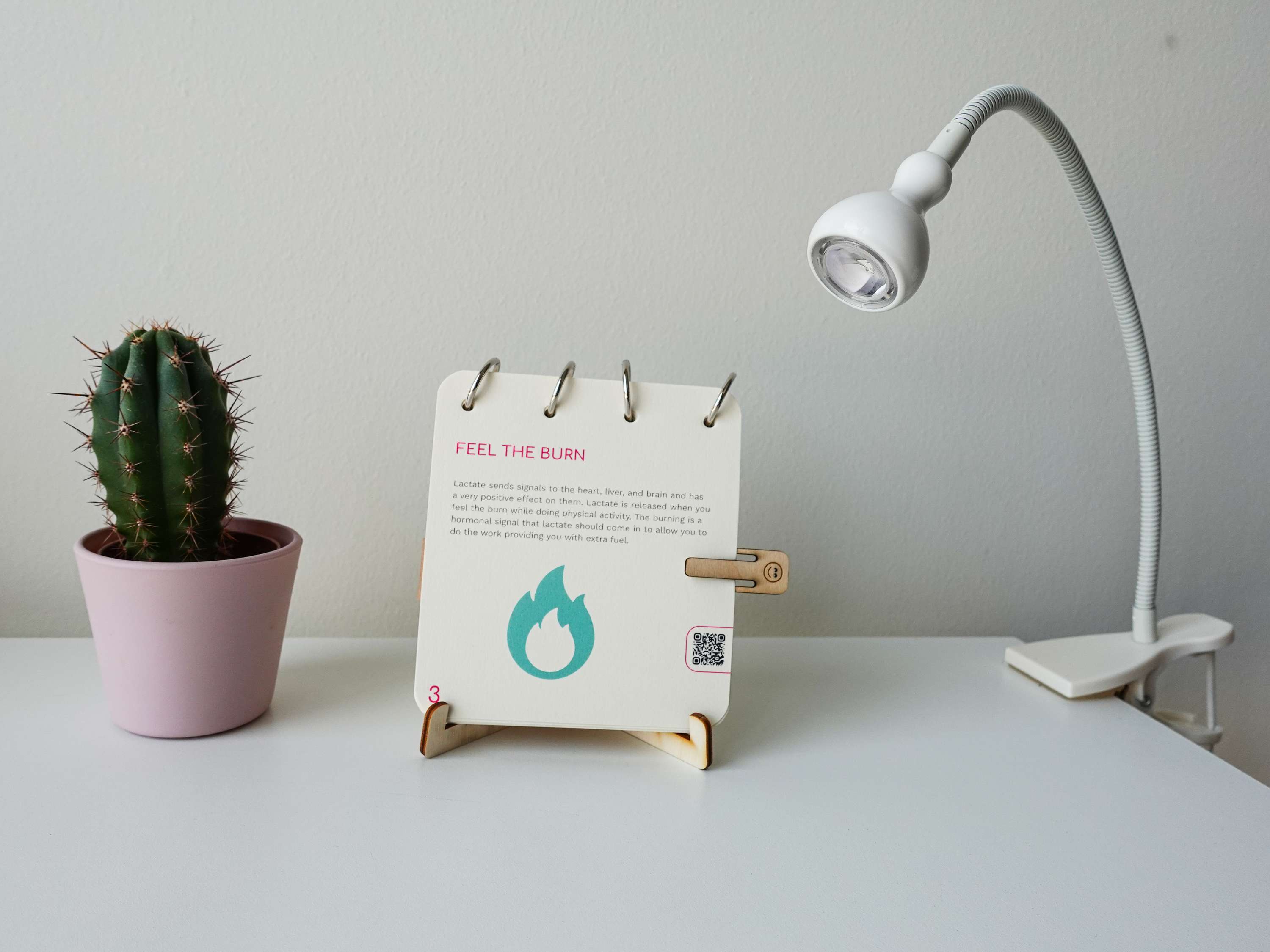 Habit Hack – Final Major Project by Aneta Horka