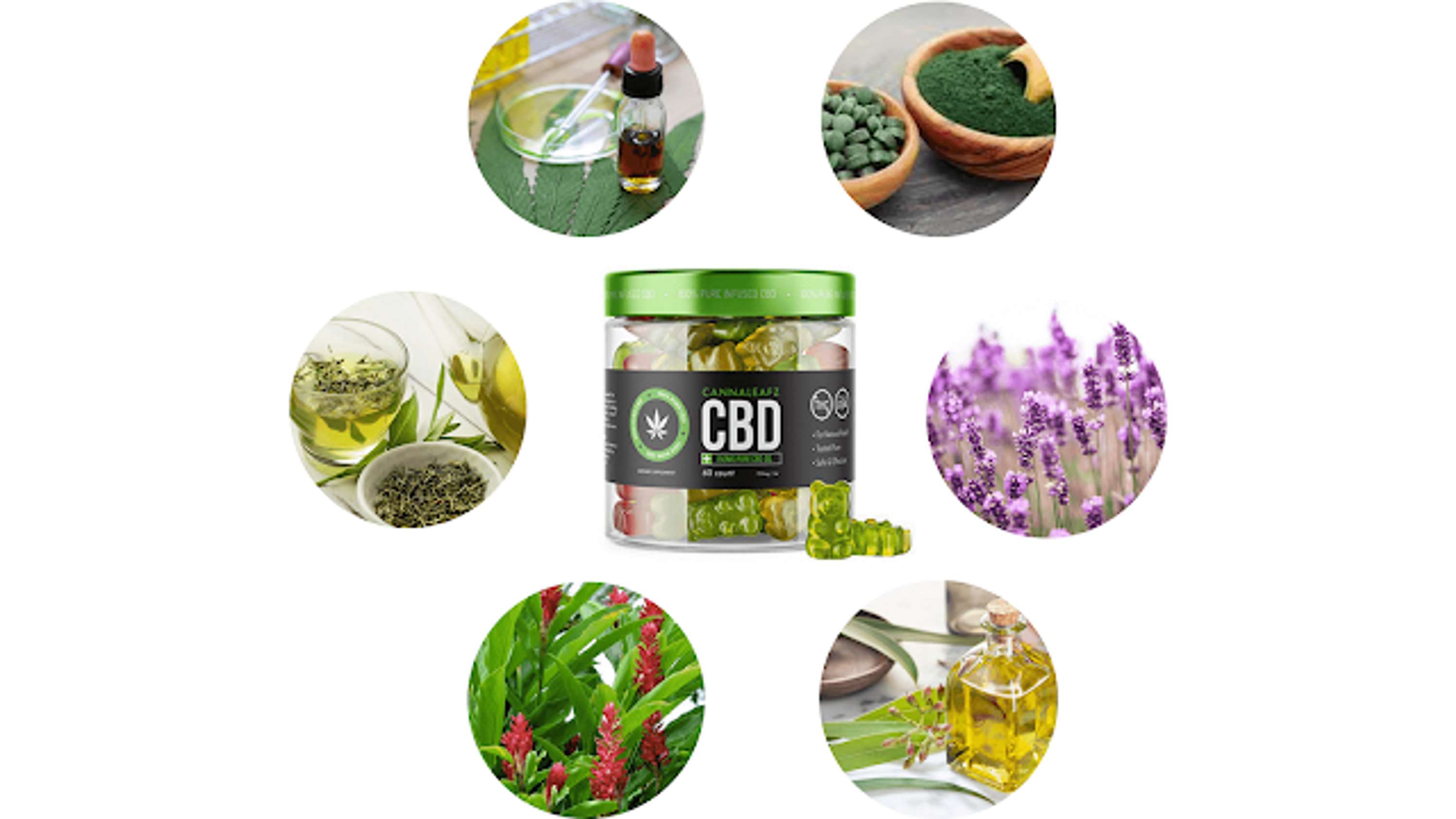 Cannaleafz CBD Gummies Reviews: How to Pain Relief Work? by Stemafil Stemafil