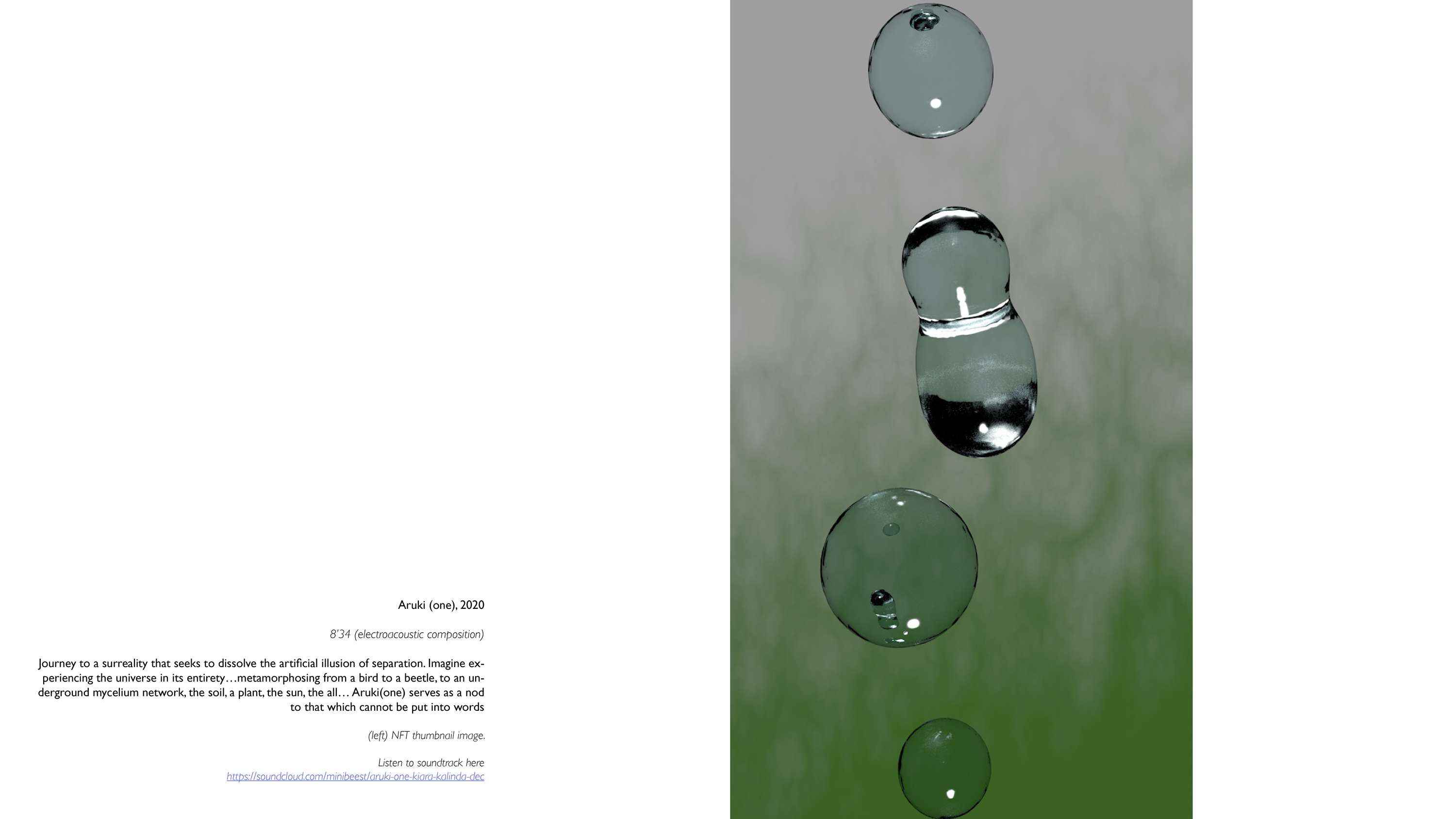 Kiara Callender Overview Portfolio 2022 by Kiara Ama Jade Callender