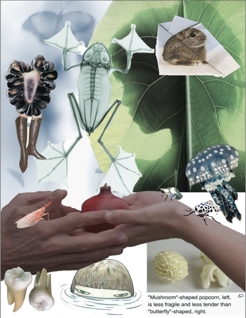 Creatures by Lily Macleod
