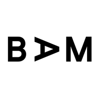 BAM Consultancy logo