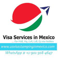 Mexico US Visa Stamping Services logo