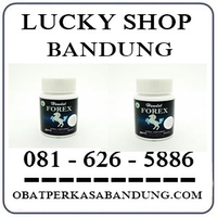 Agen Farmasi Jual Obat Forex Di Bandung 0816265886 Original logo