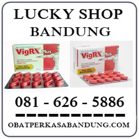 Agen Farmasi Jual Obat Vigrx Plus Di Bandung 0816265886 Original logo