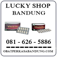 Harga Termurah 0816265886 Jual Obat Vitamale Di Bandung logo