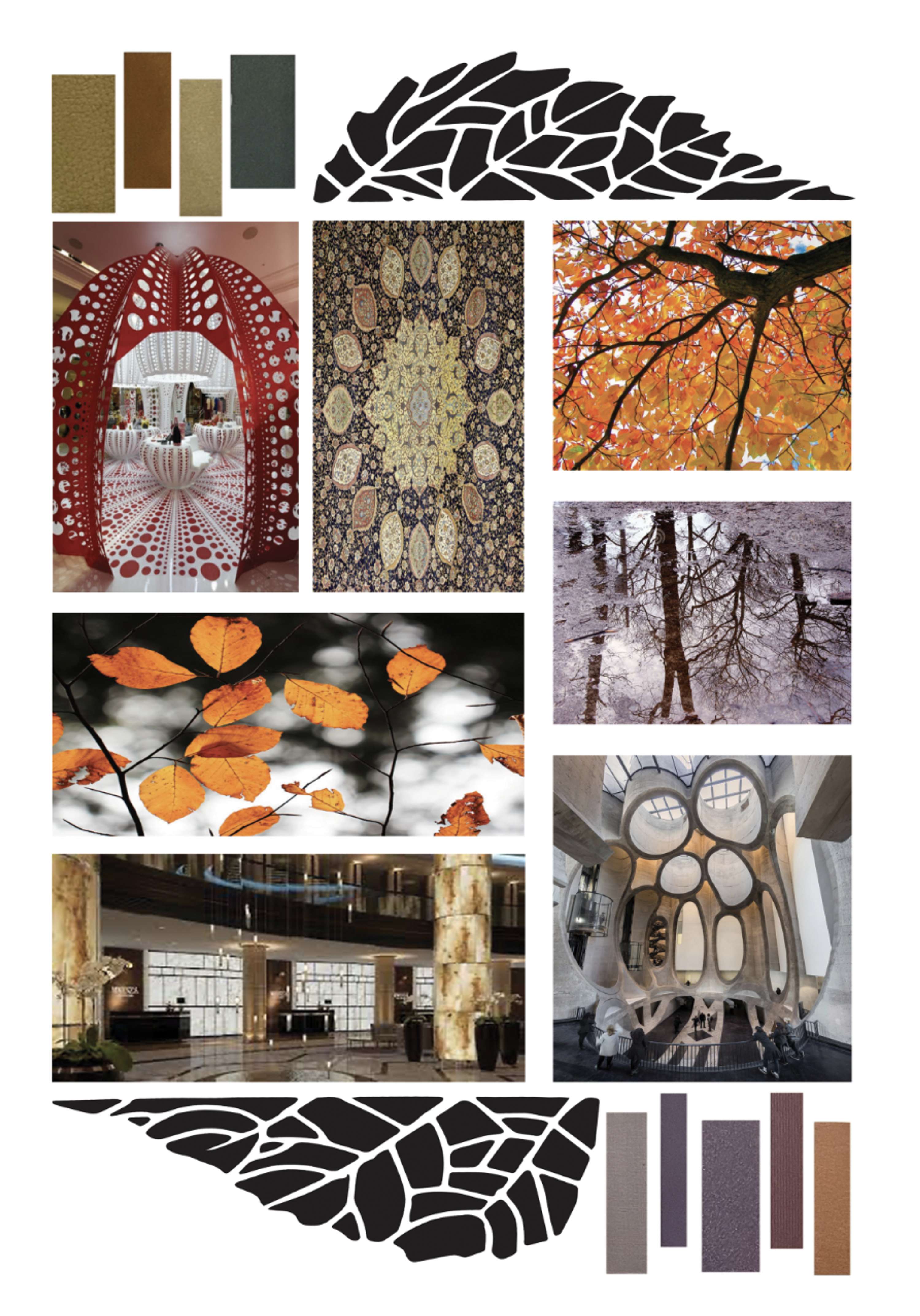 Major Project 'Falling Autumn' by salwa alsaka