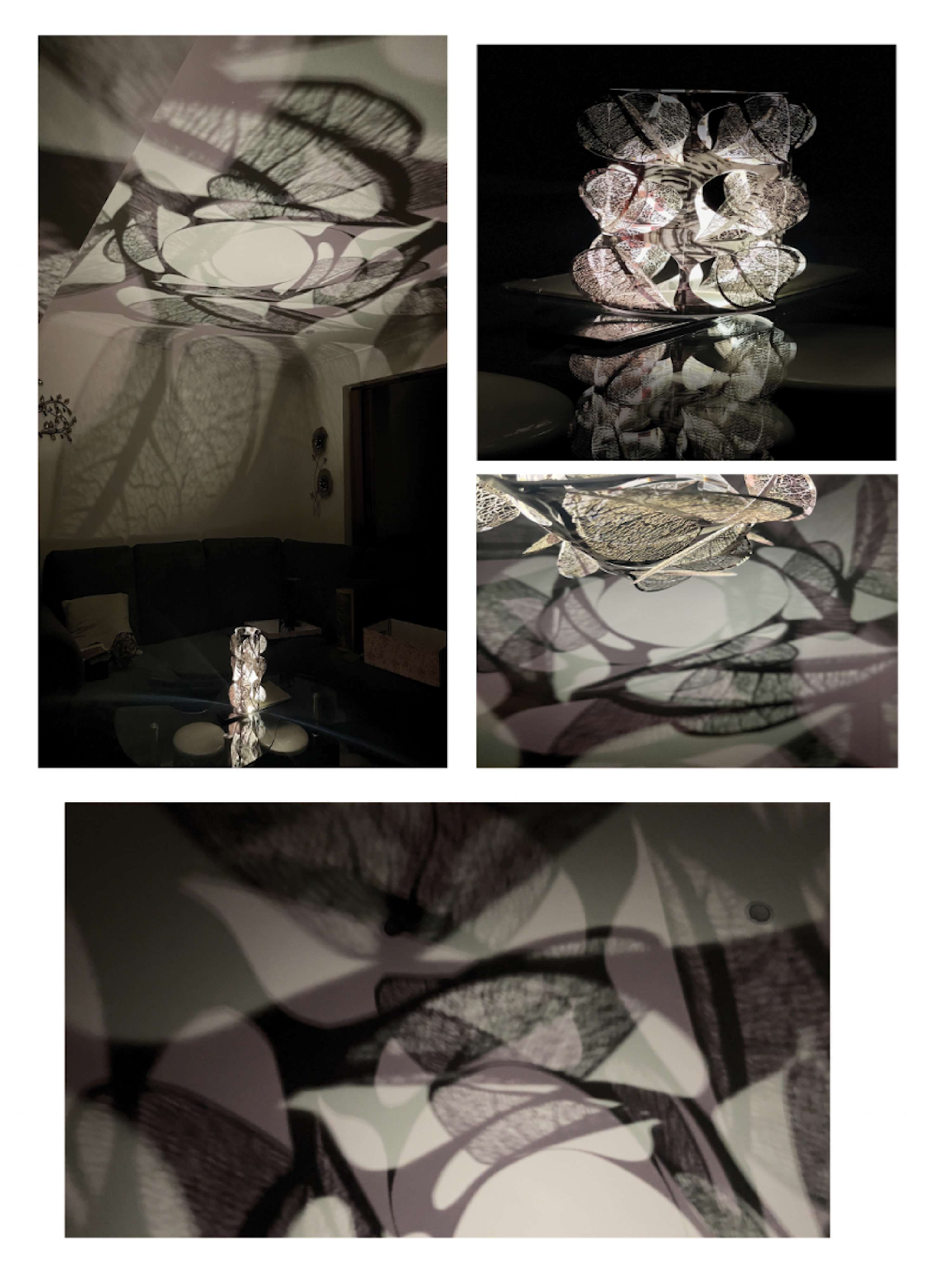 Major Project 'Falling Autumn' by salwa alsaka