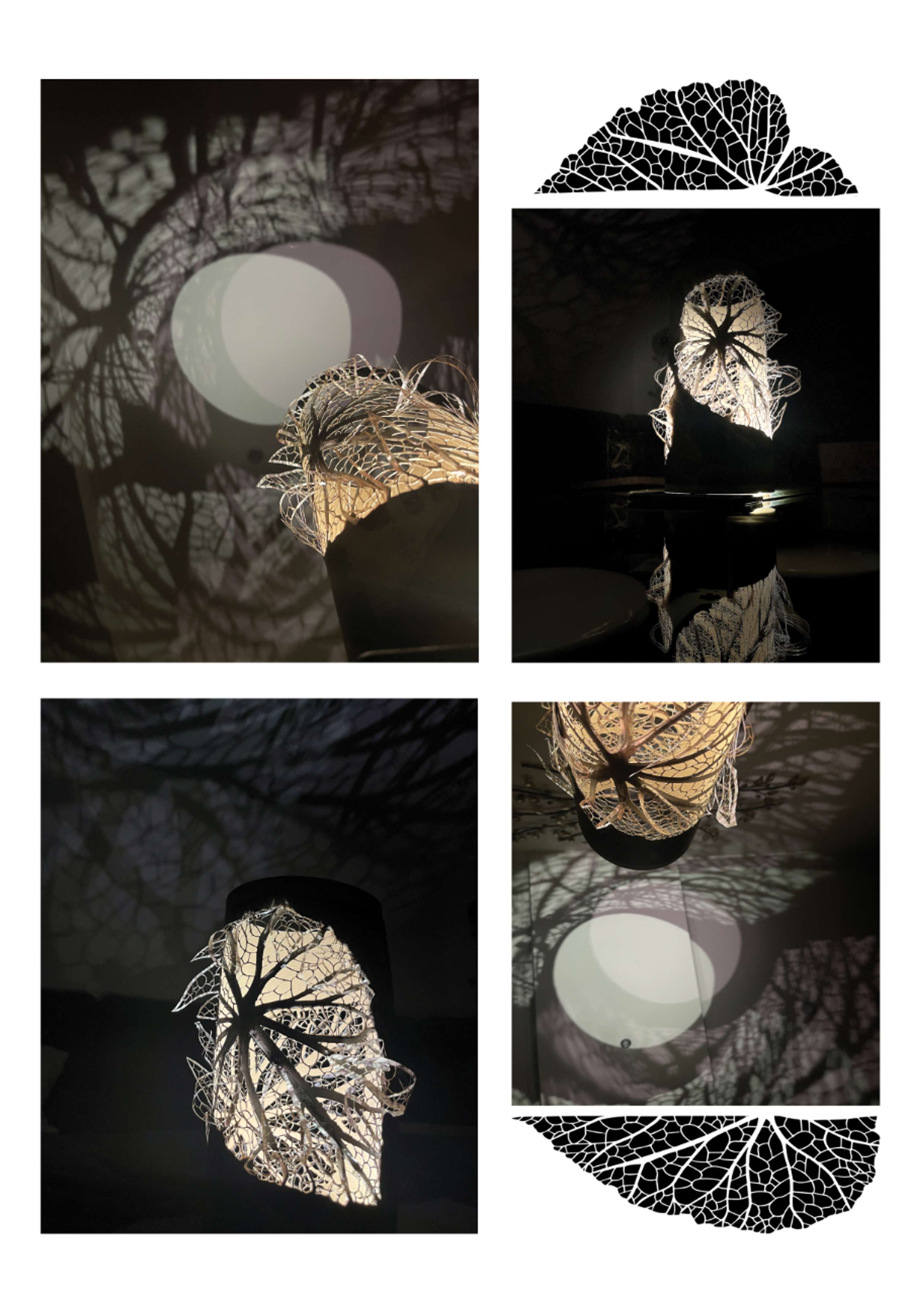 Major Project 'Falling Autumn' by salwa alsaka