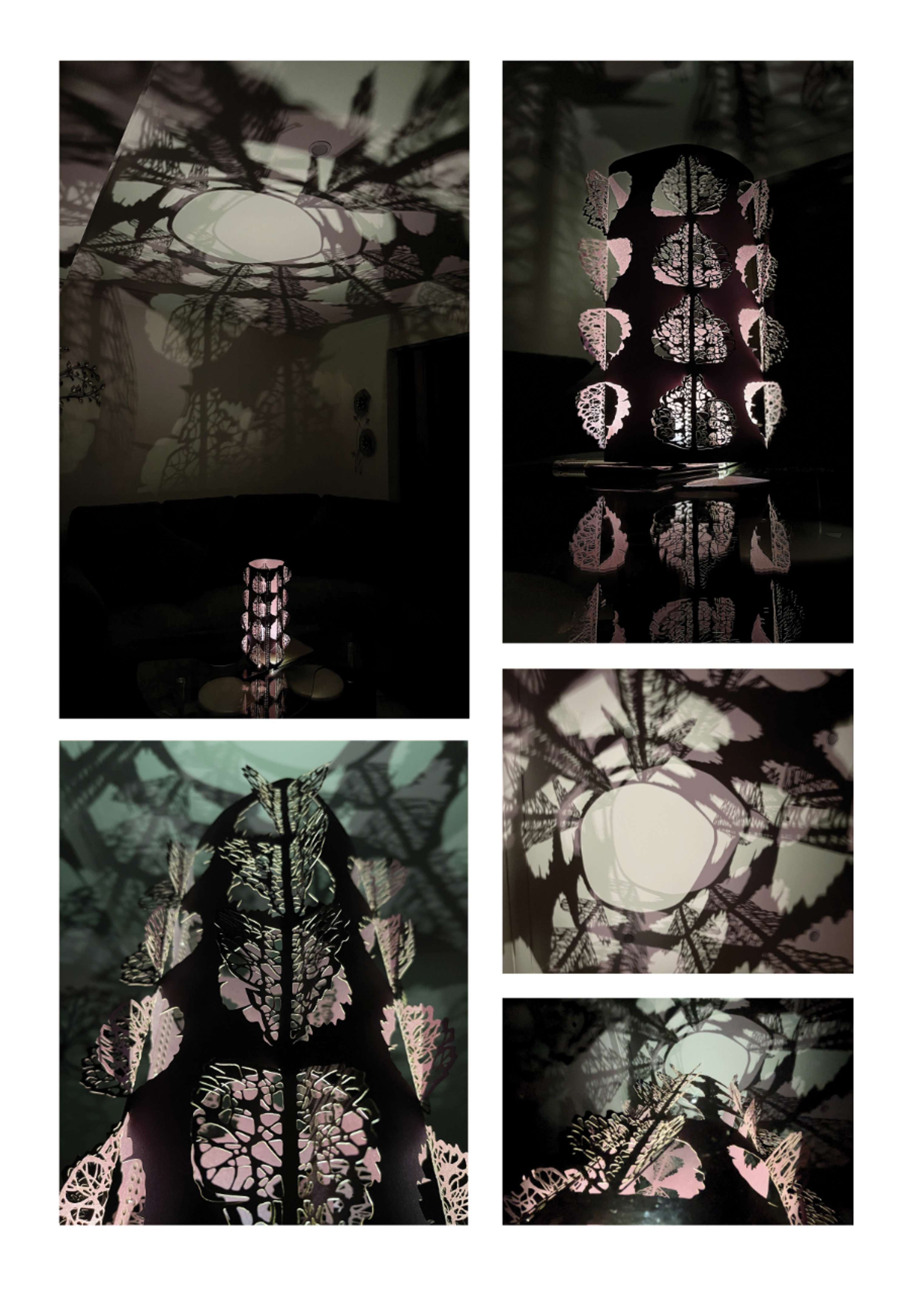 Major Project 'Falling Autumn' by salwa alsaka
