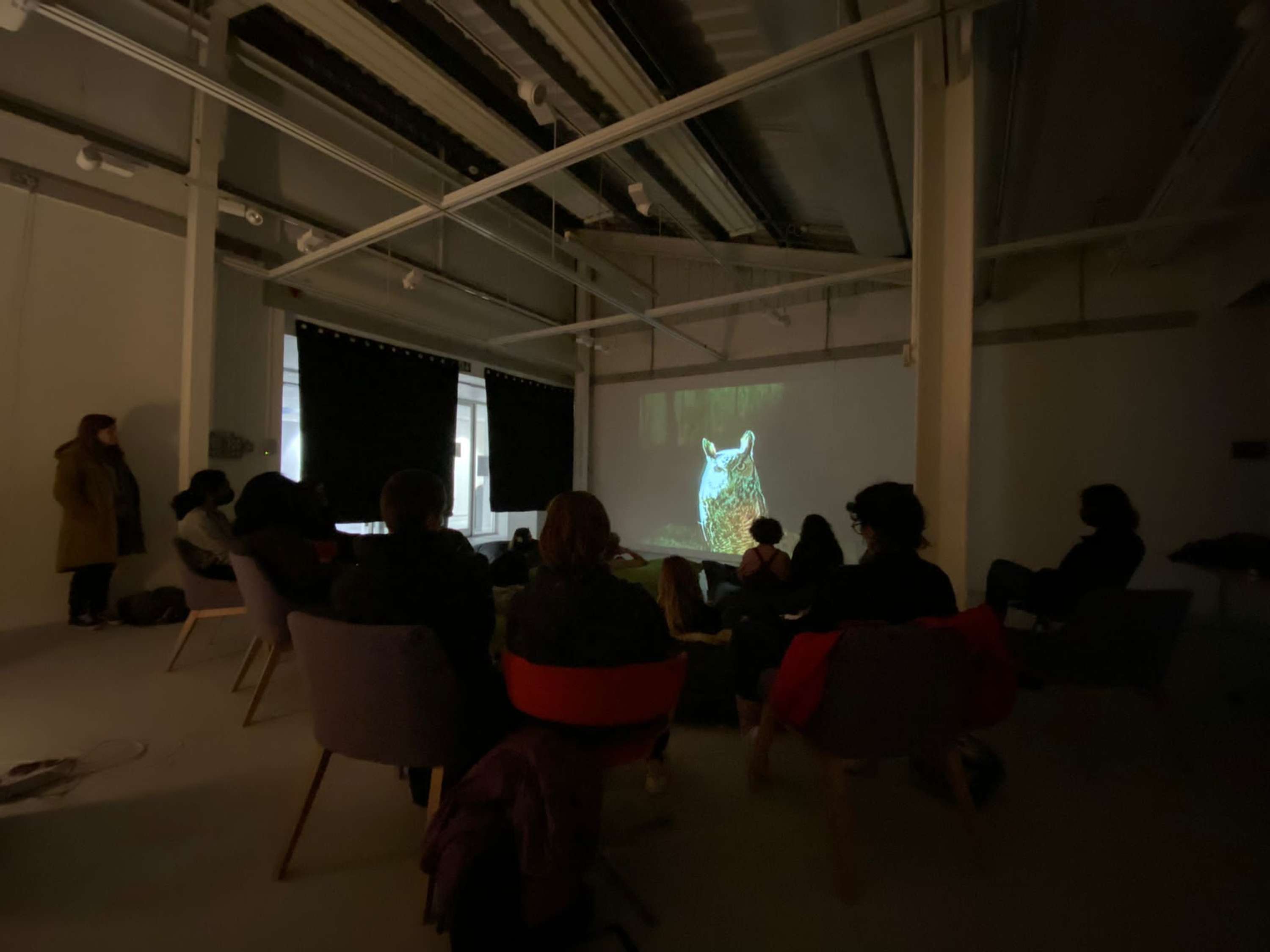 'Kinesis Moving Image Club' - Coordinator by Samuel Thompson-Plant